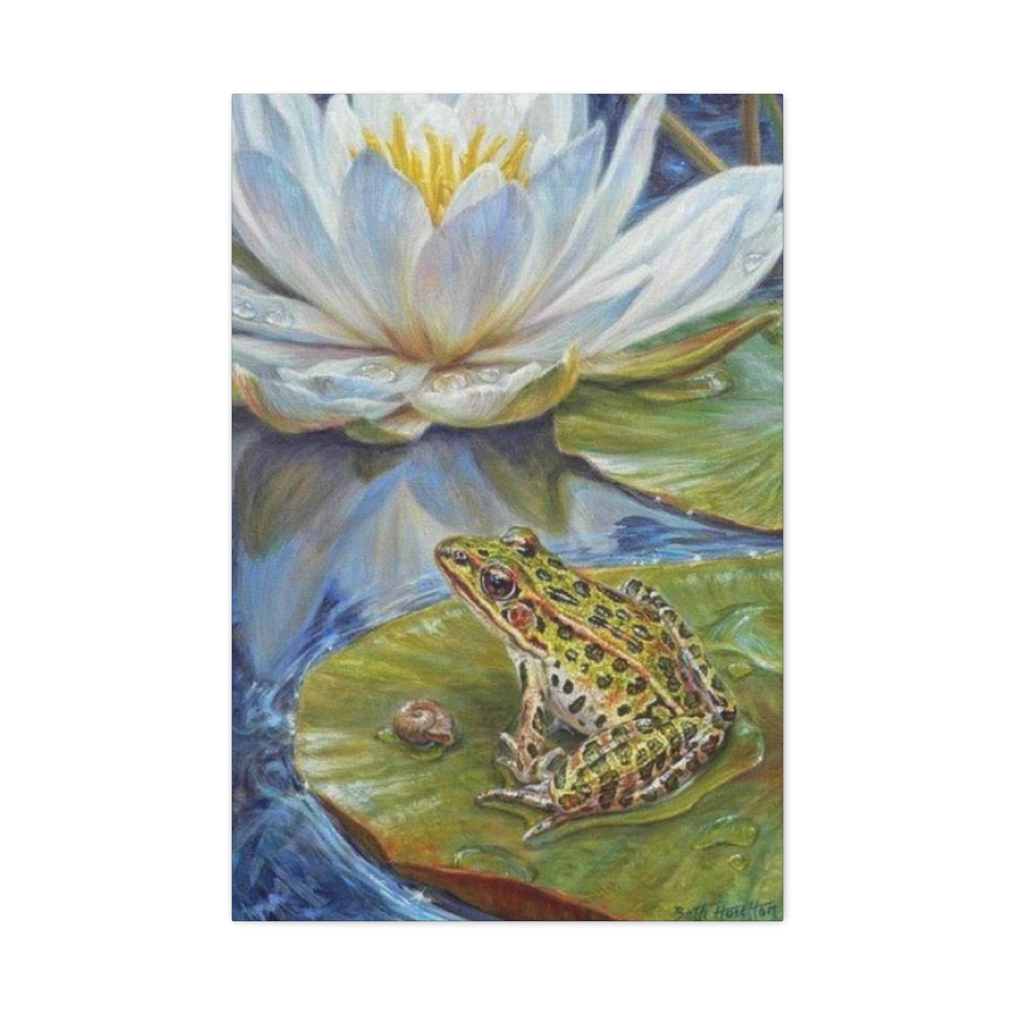 Frog in Pond Wall Art & Canvas Prints
