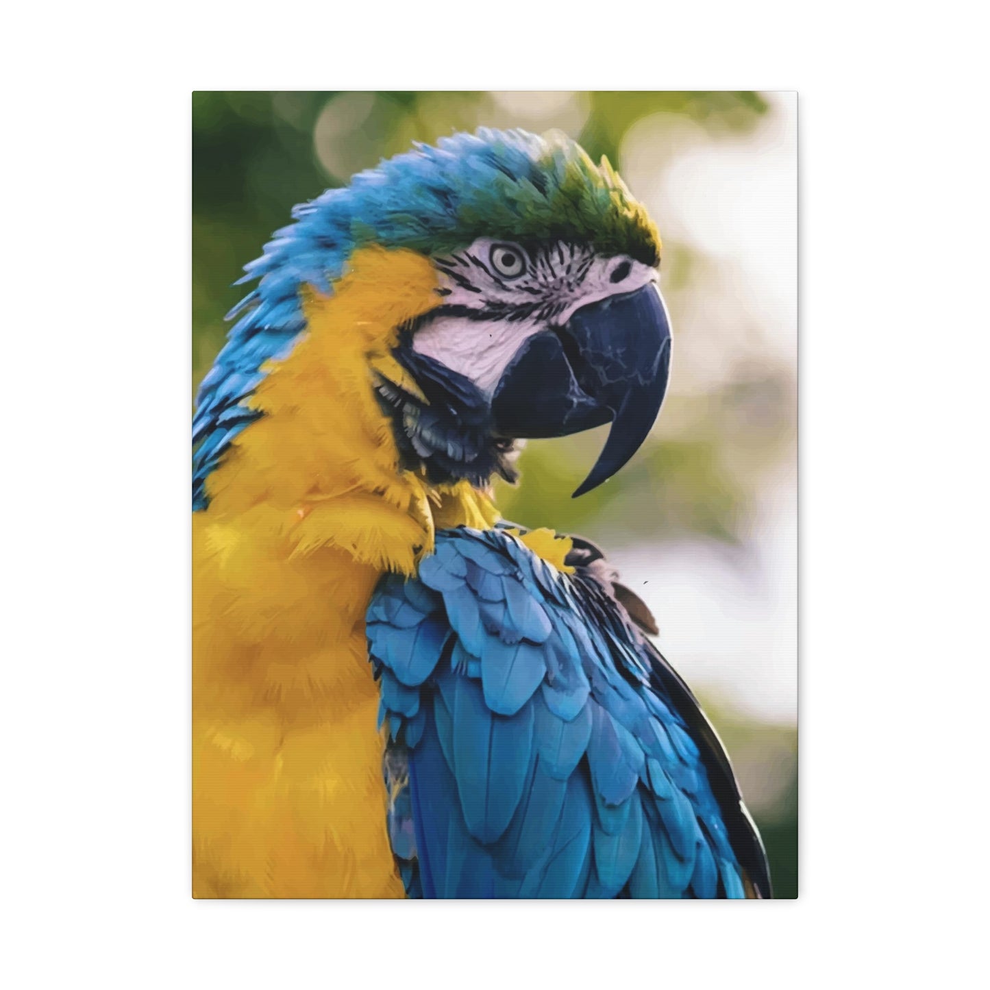 Bird Wall Art & Canvas Prints