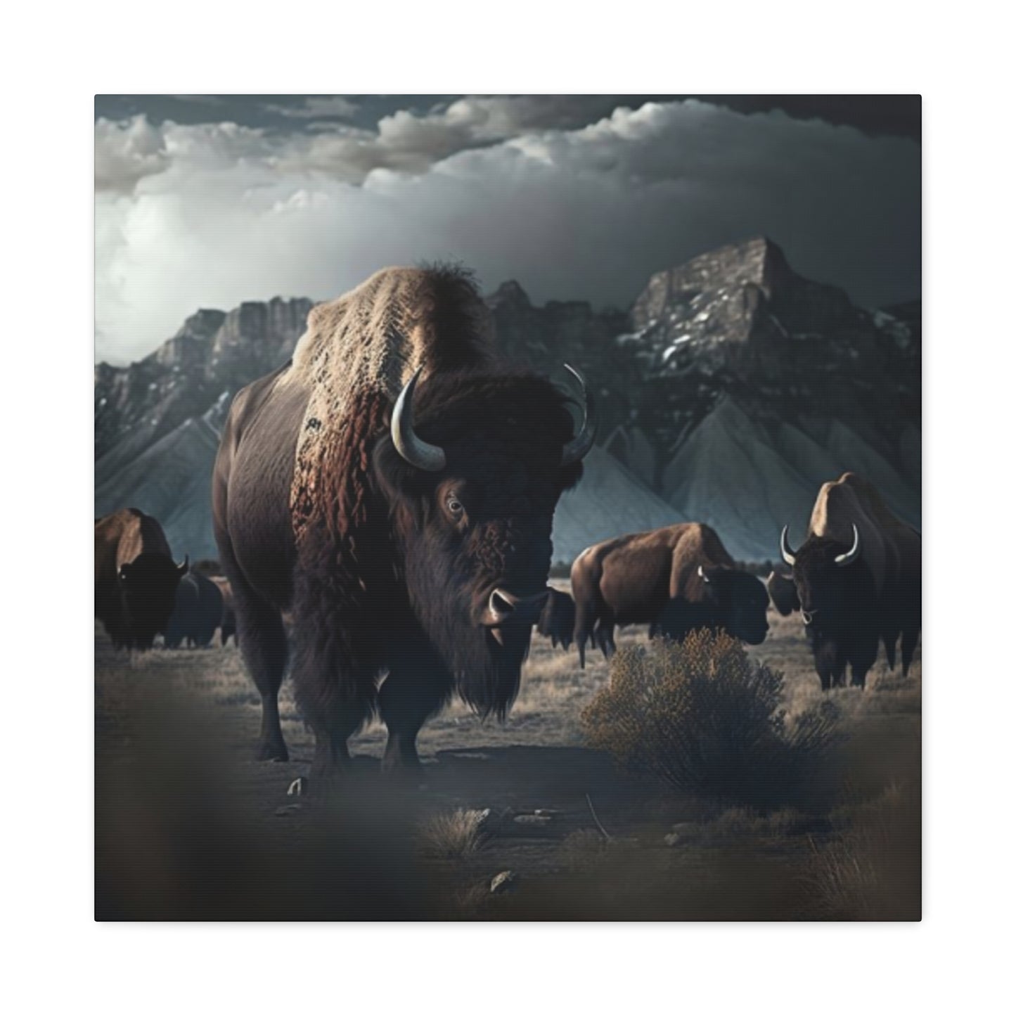 Mountain Bisons Wall Art & Canvas Prints