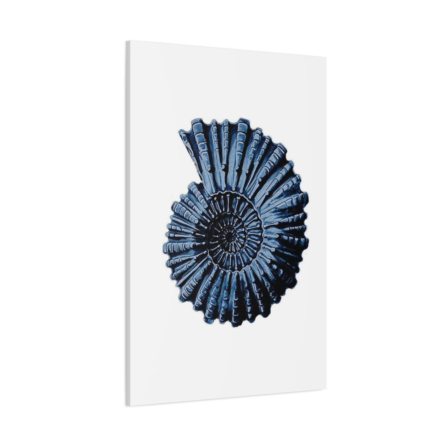 Beautiful Blue Shell Shape Poster Wall Art & Canvas Prints