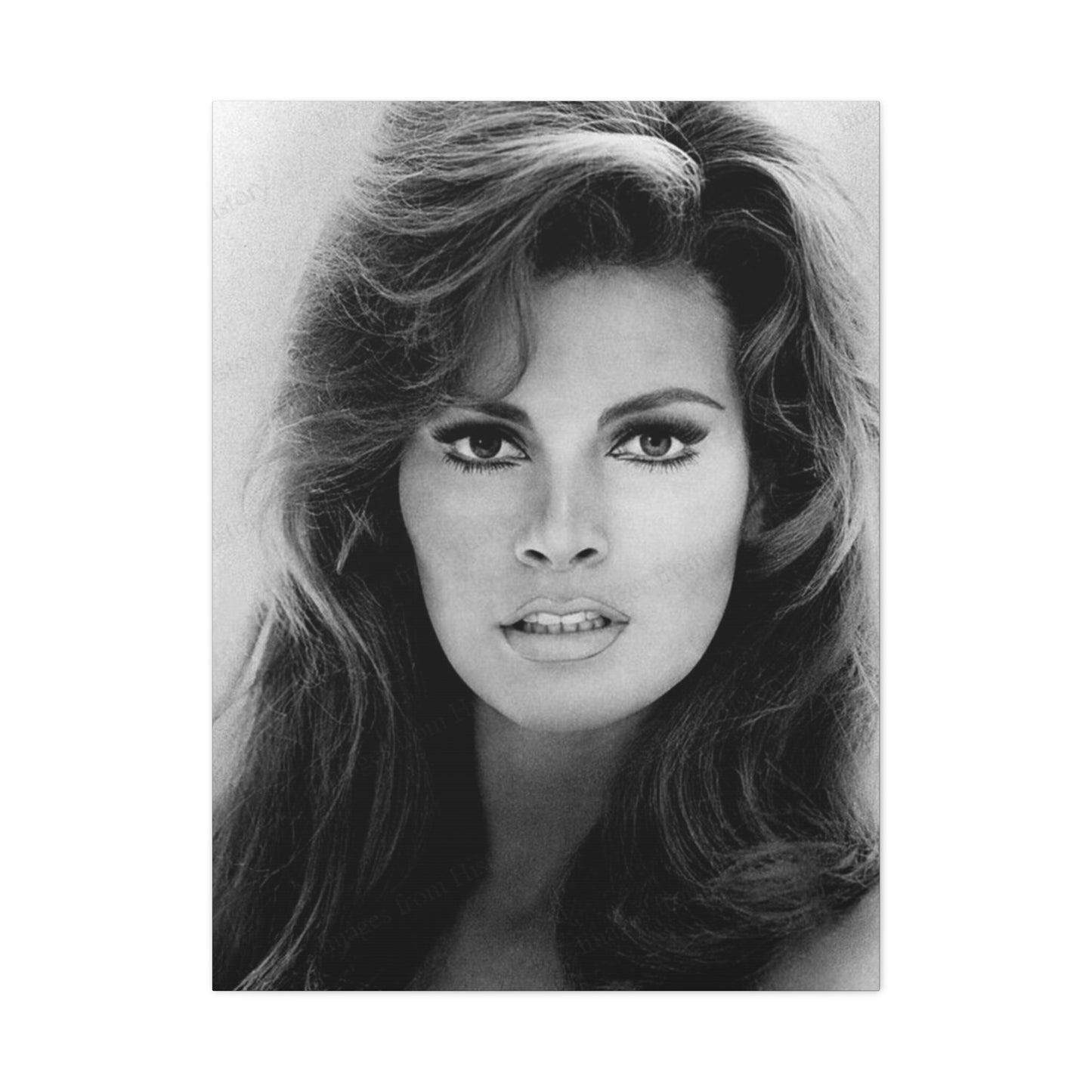 Raquel Welch Wall Art & Canvas Prints