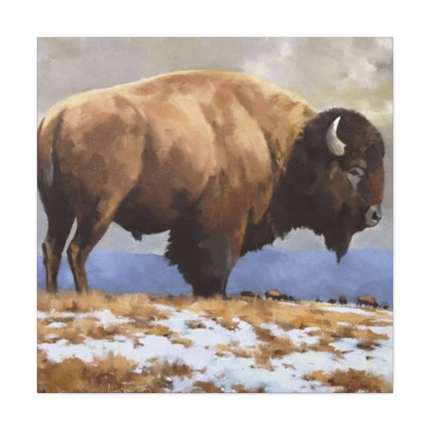 Old Bison Wall Art & Canvas Prints