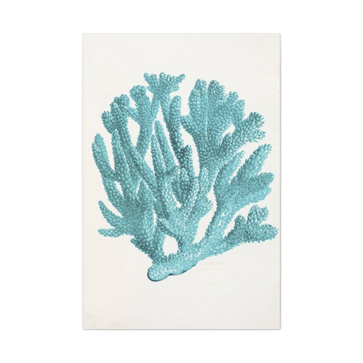 Blue Sea Herb Drawing Wall Art & Canvas Prints