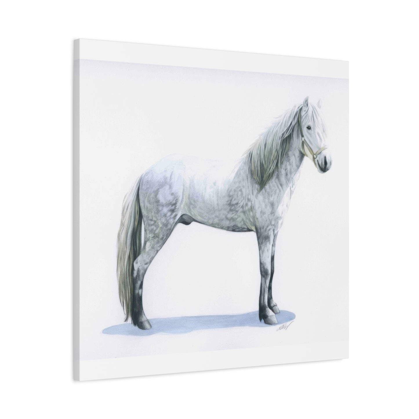 Grace Popp White Horse Wall Art & Canvas Prints