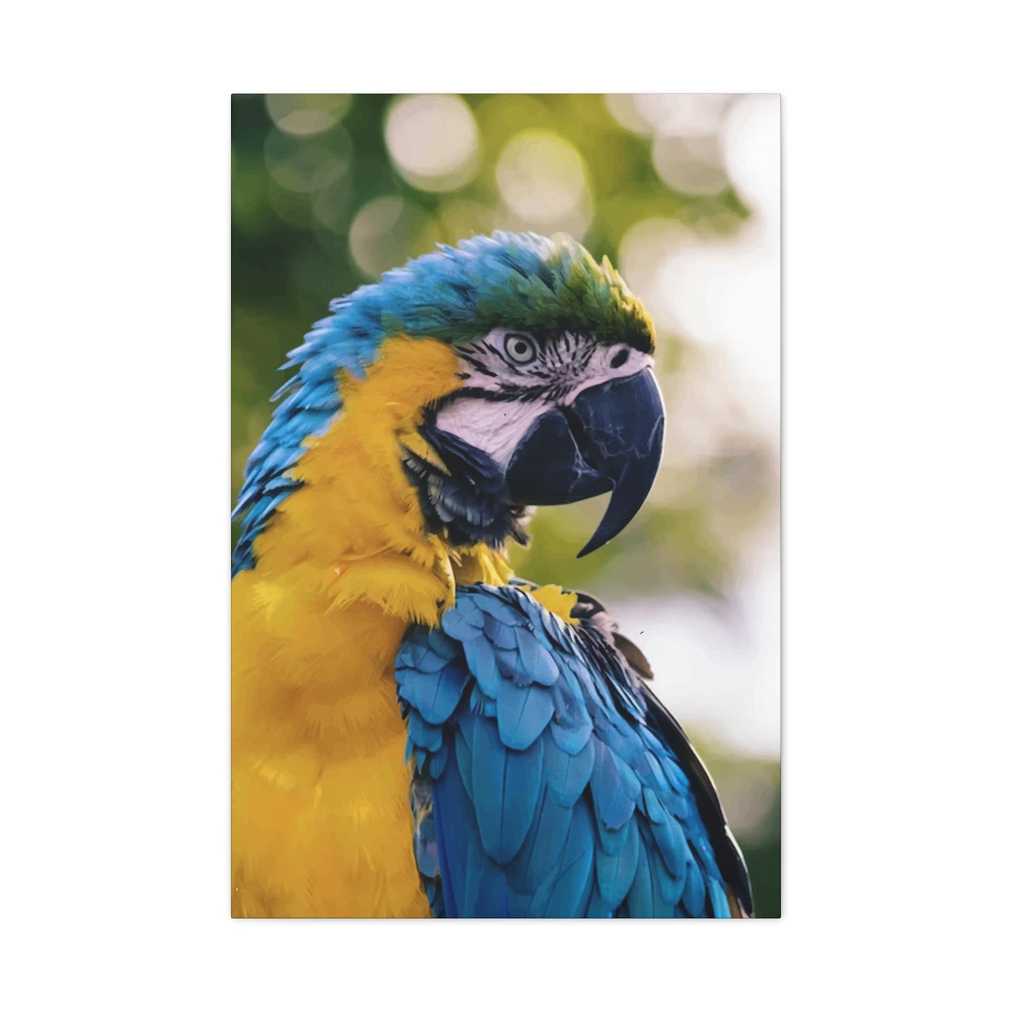 Bird Wall Art & Canvas Prints
