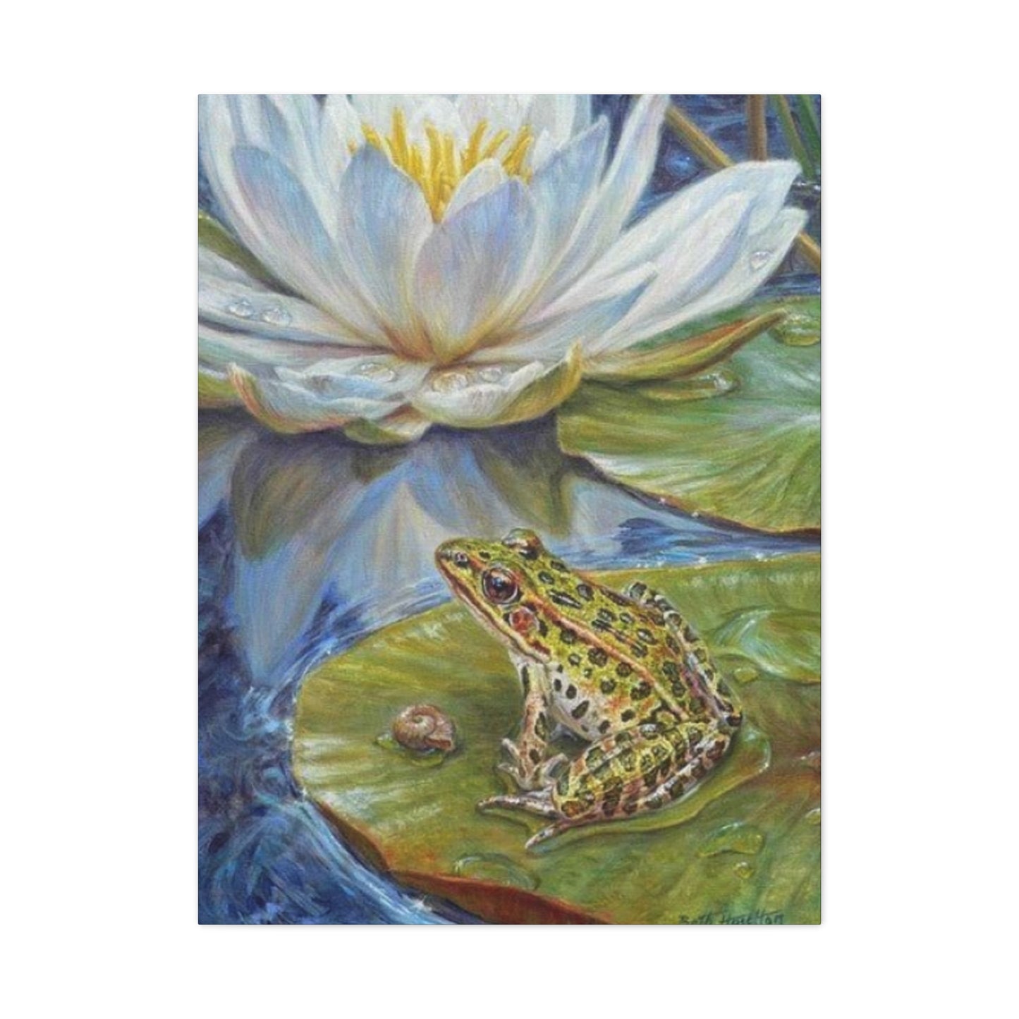 Frog in Pond Wall Art & Canvas Prints