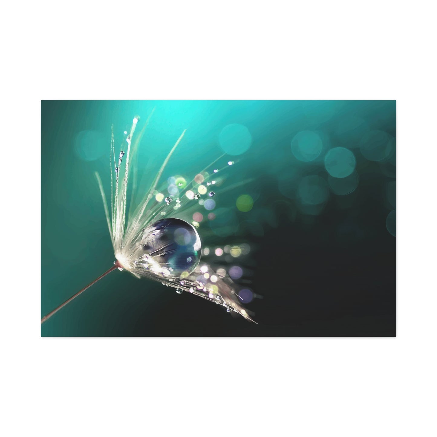 Water drops Wall Art & Canvas Prints