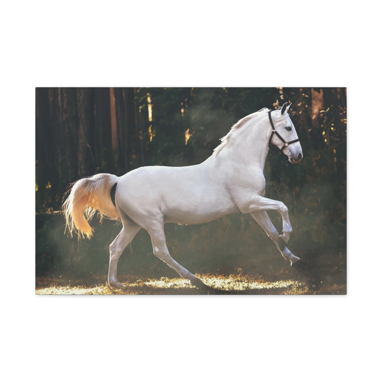 White Horse Wall Art & Canvas Prints