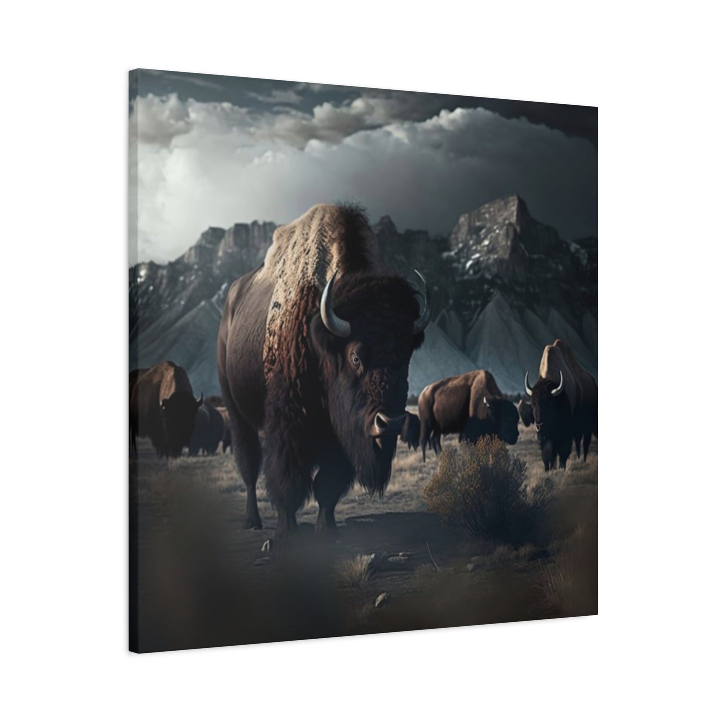 Mountain Bisons Wall Art & Canvas Prints