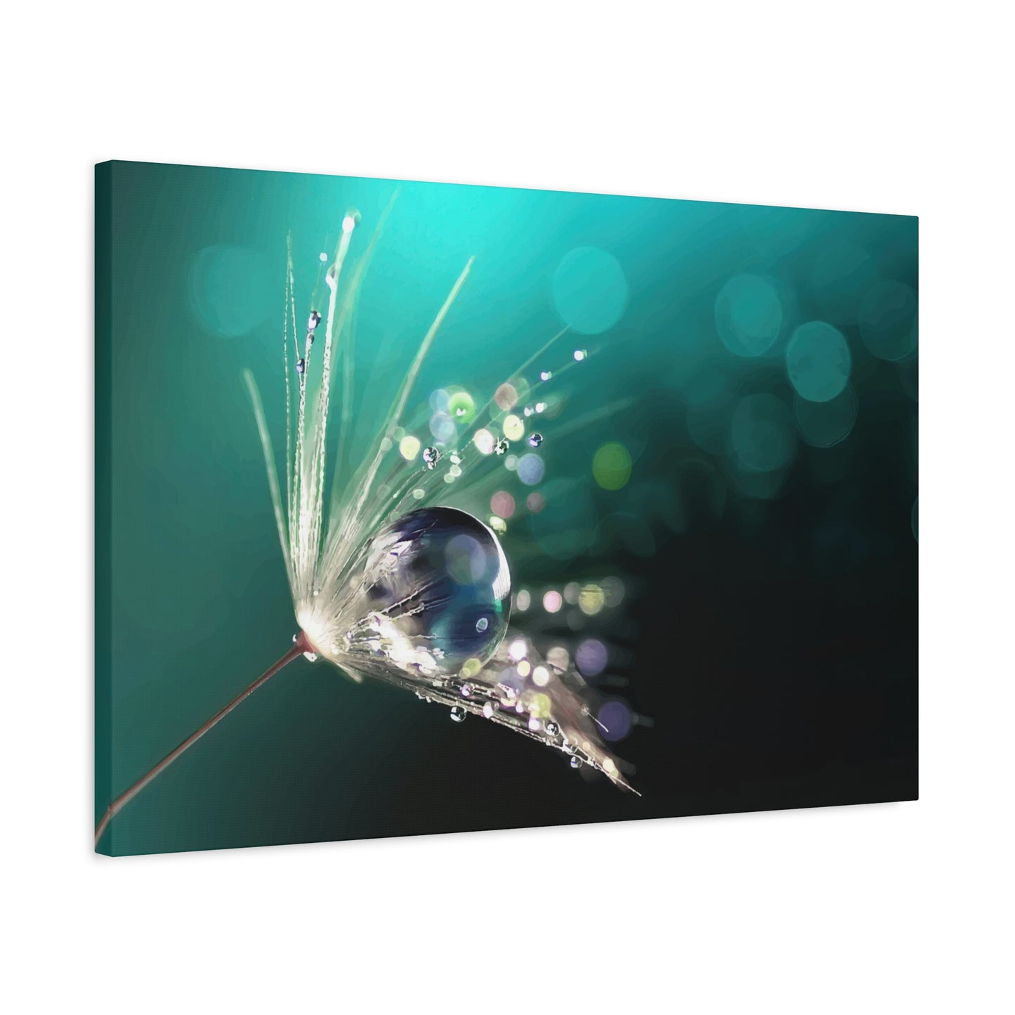Water drops Wall Art & Canvas Prints