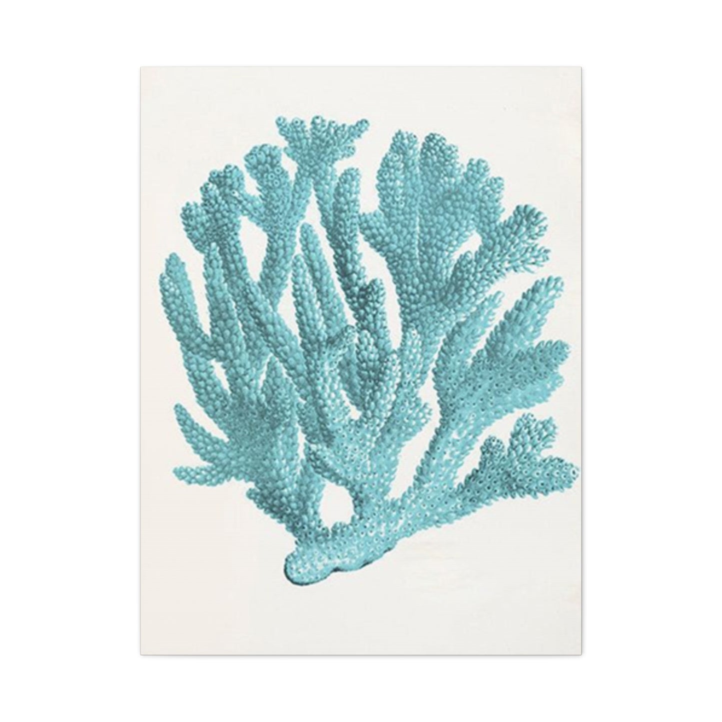 Blue Sea Herb Drawing Wall Art & Canvas Prints