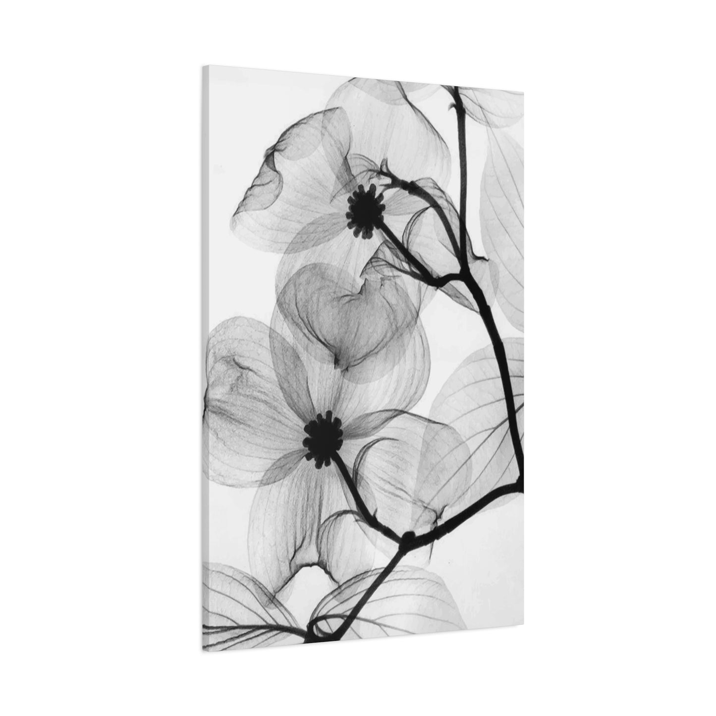 Black & White Flower Wall Art & Canvas Prints