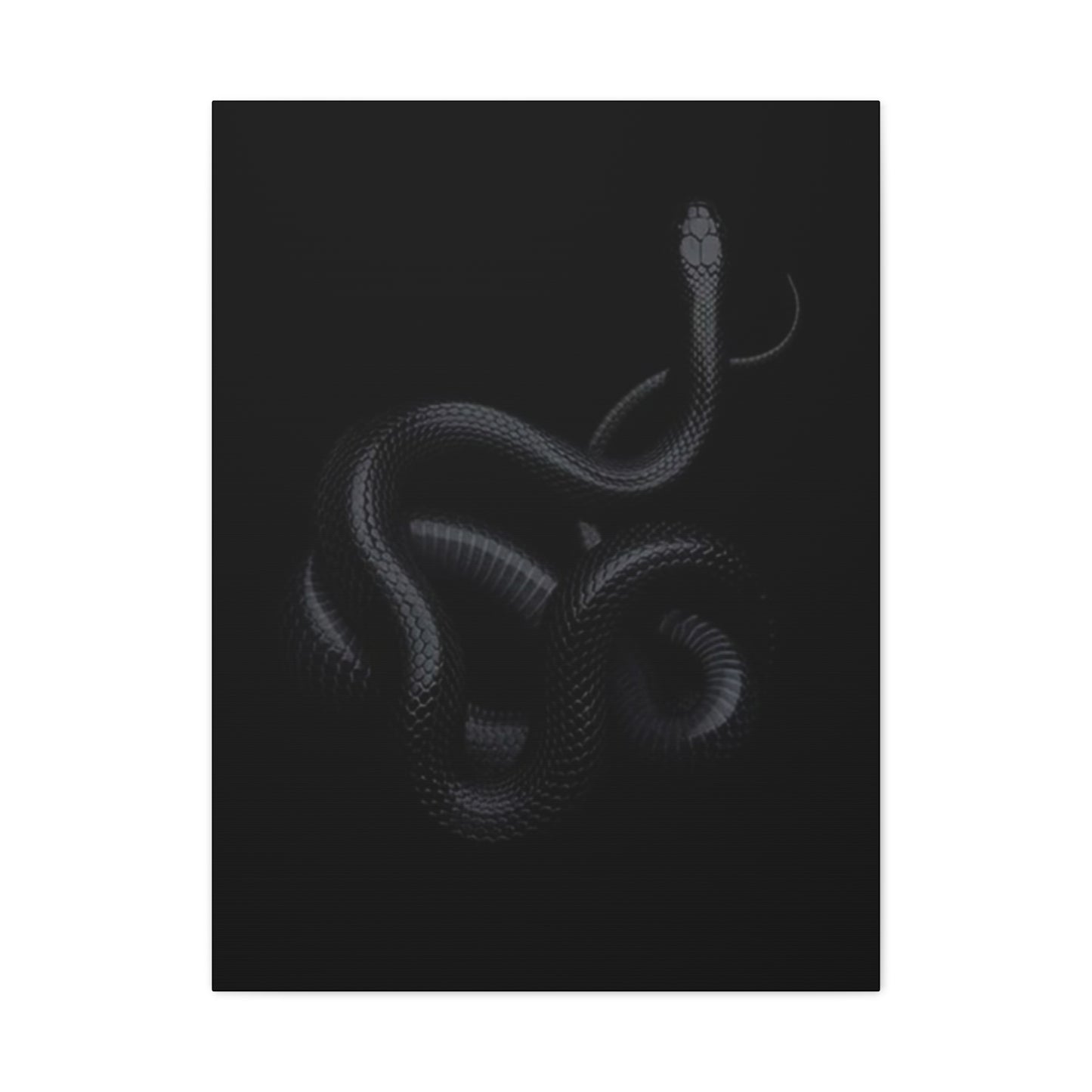 Black Snake's Poster Wall Art & Canvas Prints