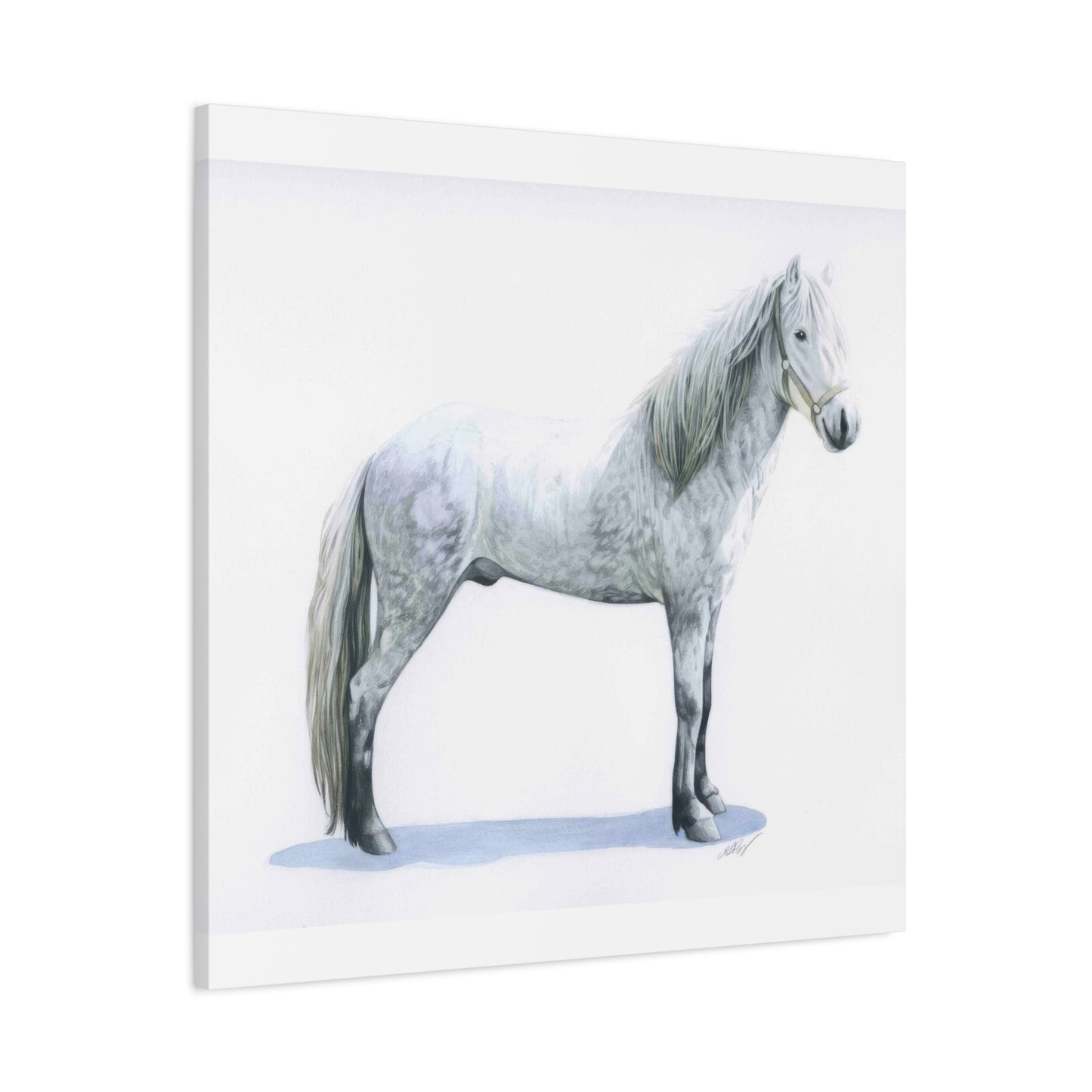 Grace Popp White Horse Wall Art & Canvas Prints