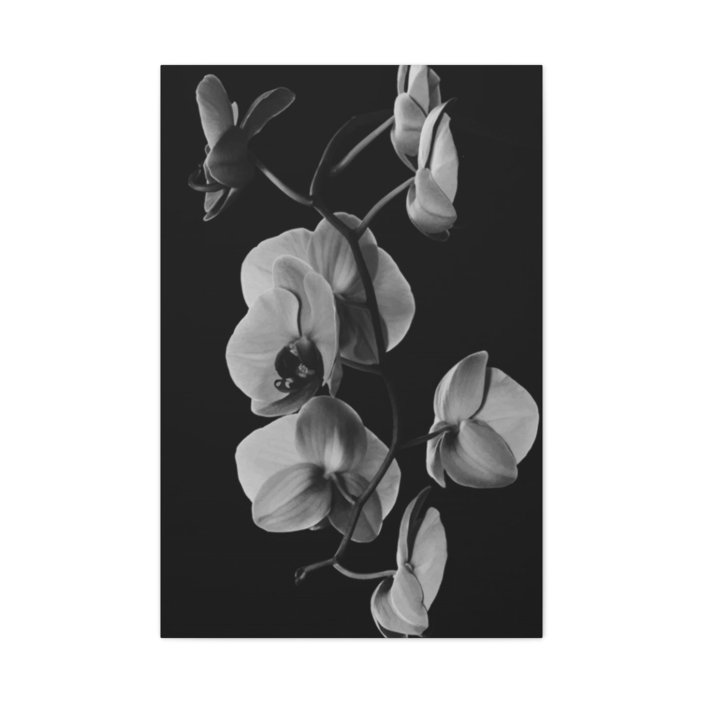 Daffodil Wall Art & Canvas Prints
