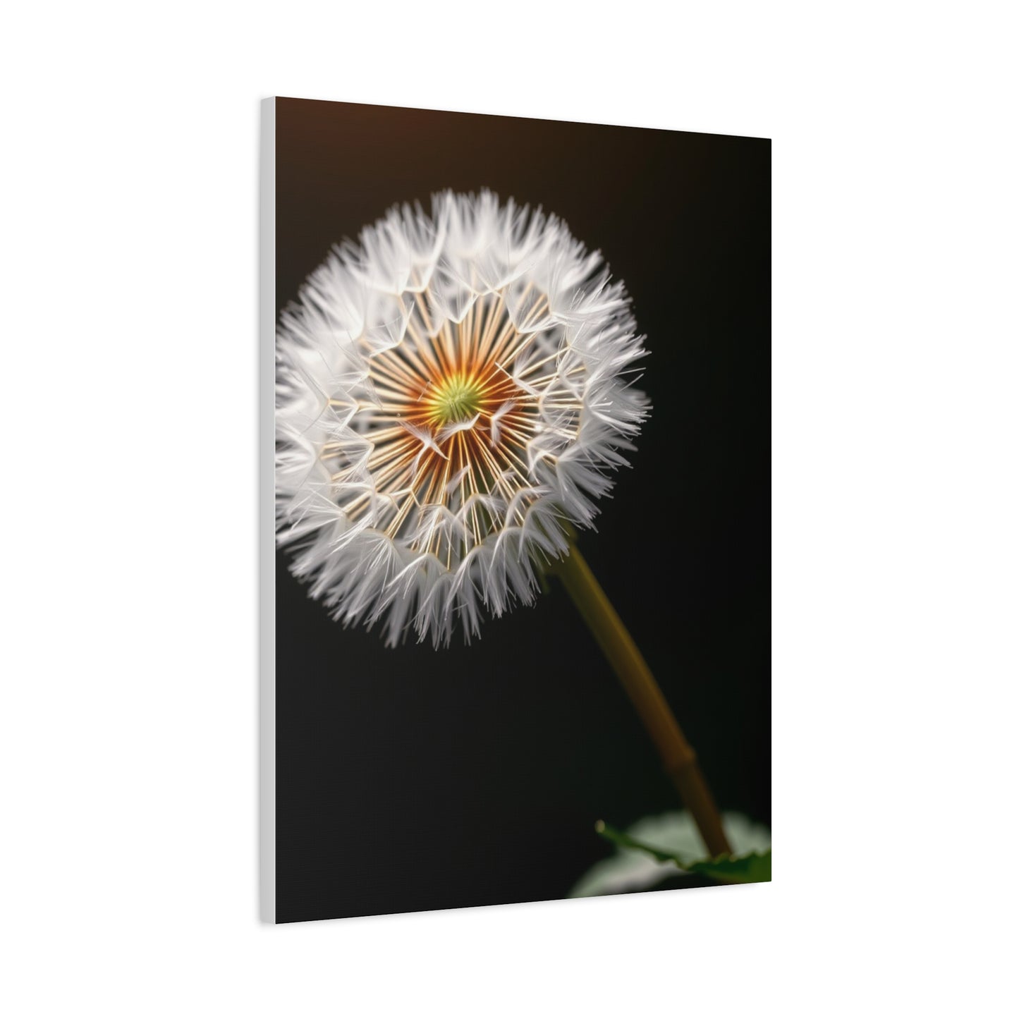 Dandelion Flower Art Refined Canvas Wall Art & Canvas Print