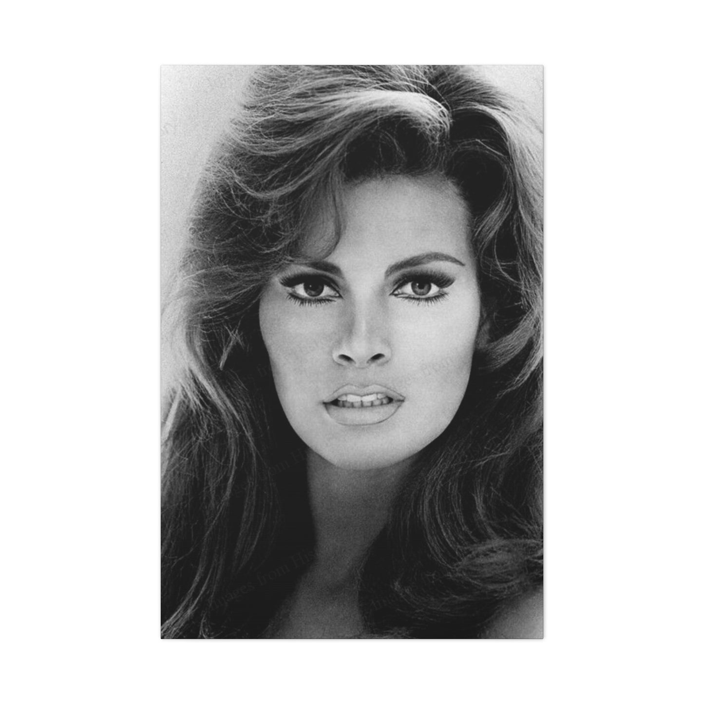 Raquel Welch Wall Art & Canvas Prints