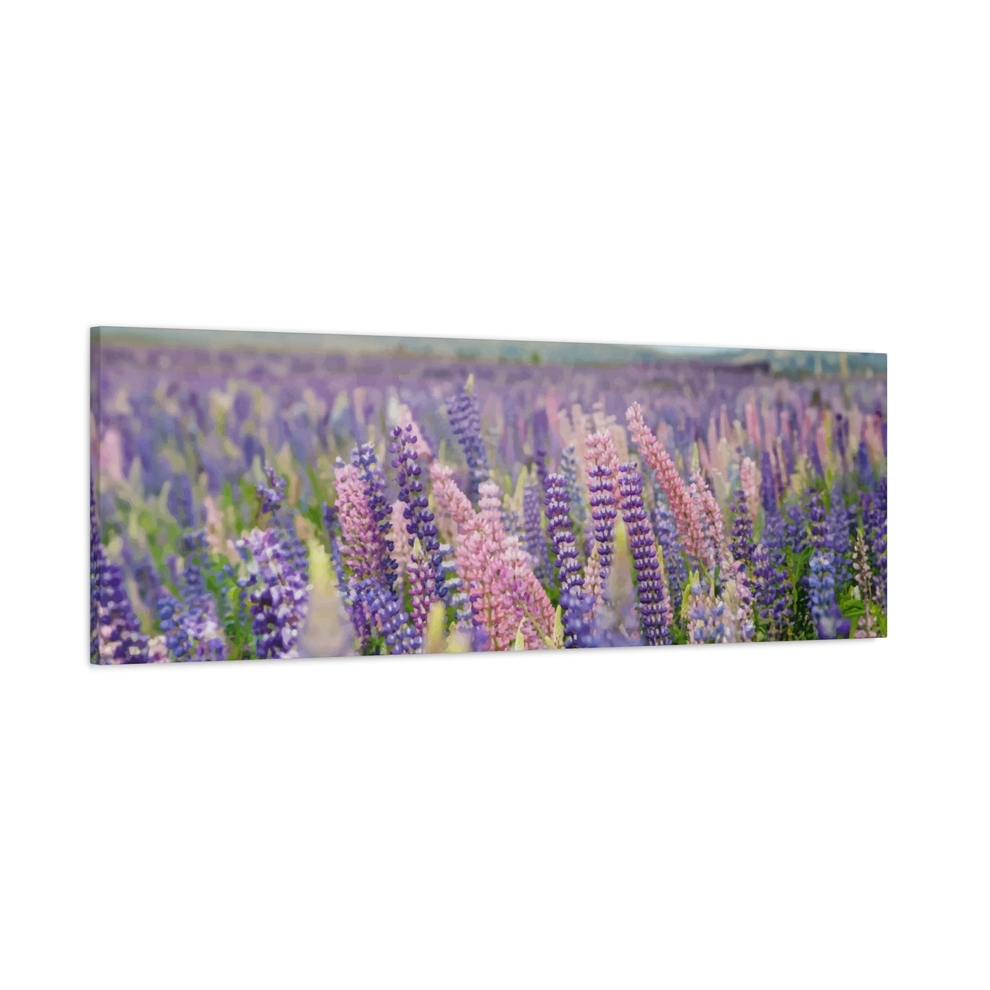 Lavender Wall Art & Canvas Prints