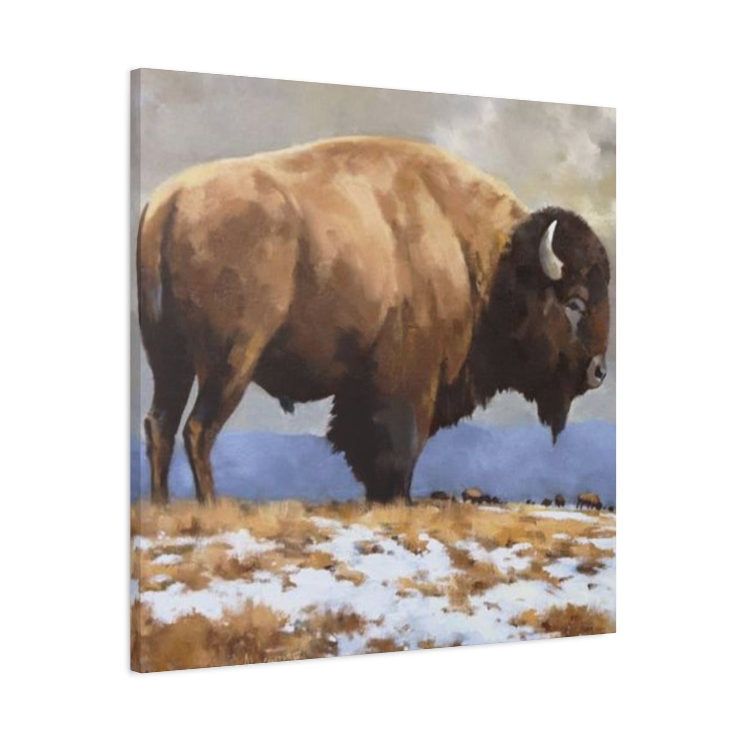 Old Bison Wall Art & Canvas Prints