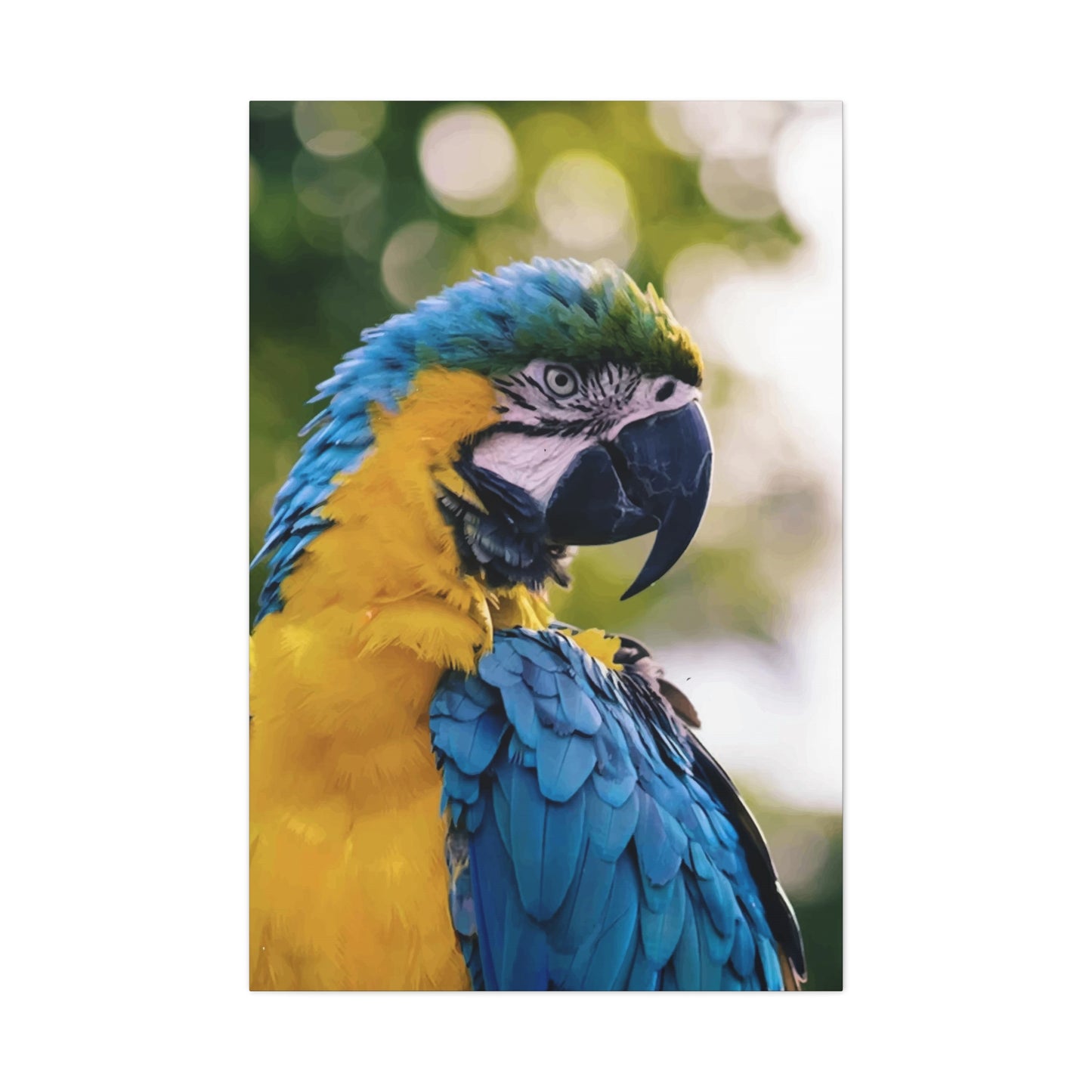Bird Wall Art & Canvas Prints