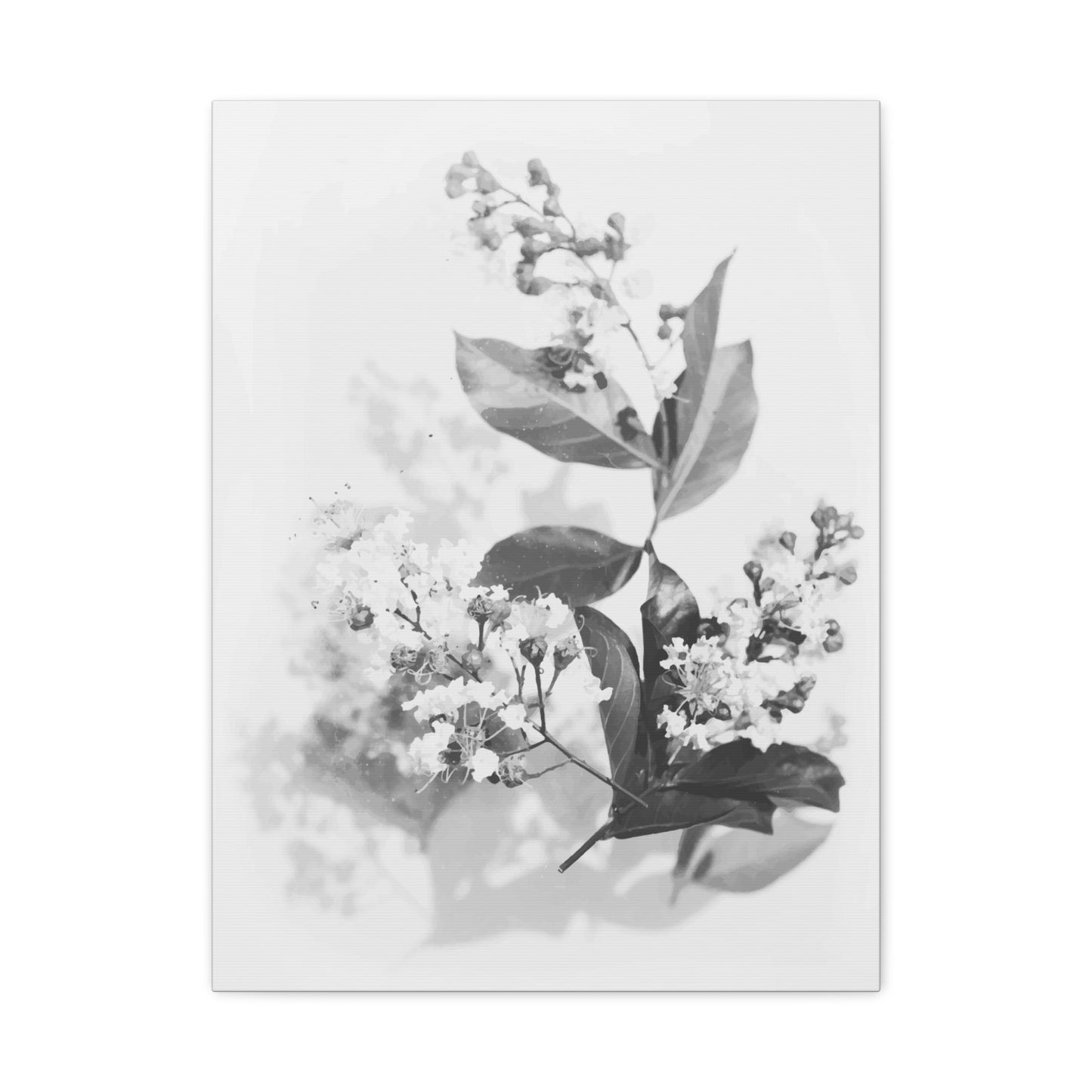 White Flora Wall Art & Canvas Prints
