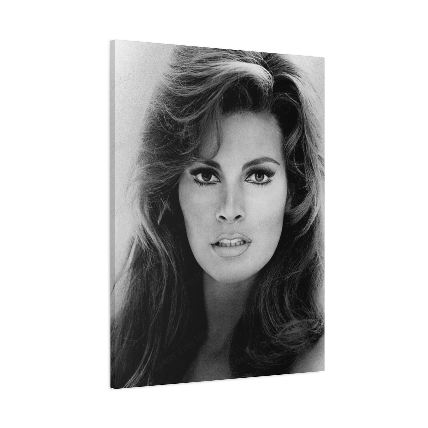 Raquel Welch Wall Art & Canvas Prints