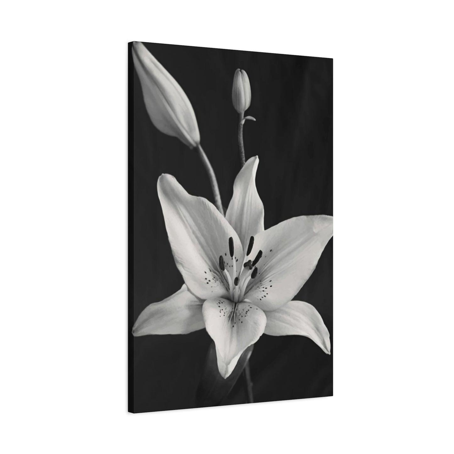Black & White Floral Wall Art & Canvas Prints