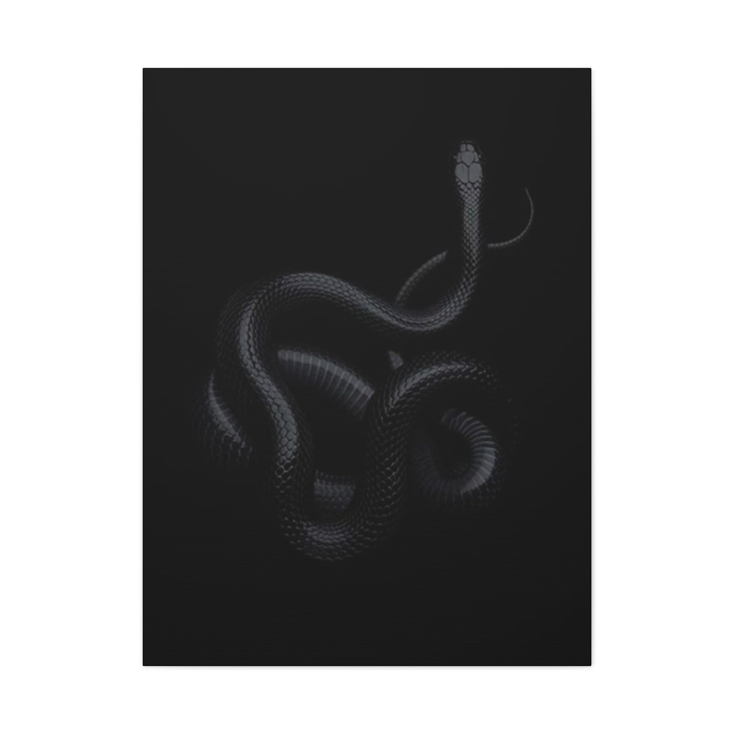 Black Snake's Poster Wall Art & Canvas Prints