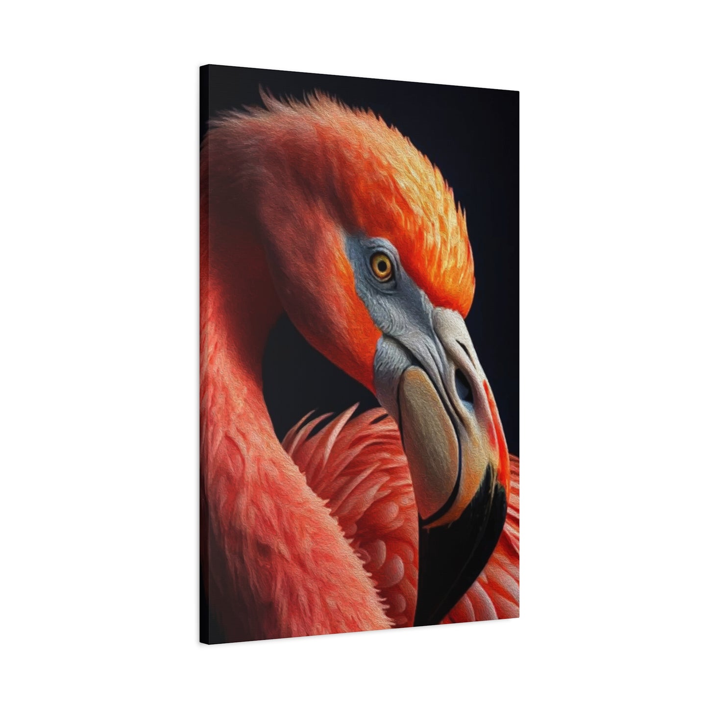 Vulture Bird Wall Art & Canvas Prints