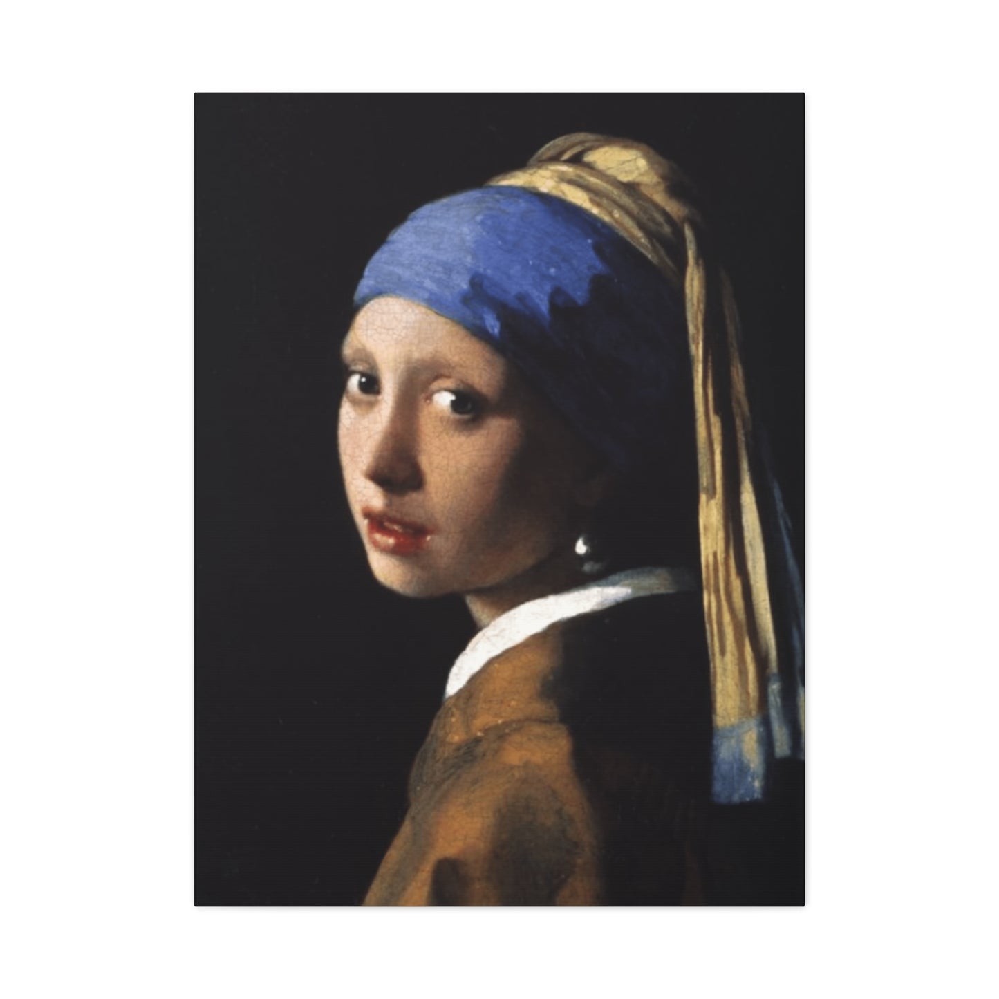 Girl With A Pearl Earring Portrait Wall Art & Canvas Prints