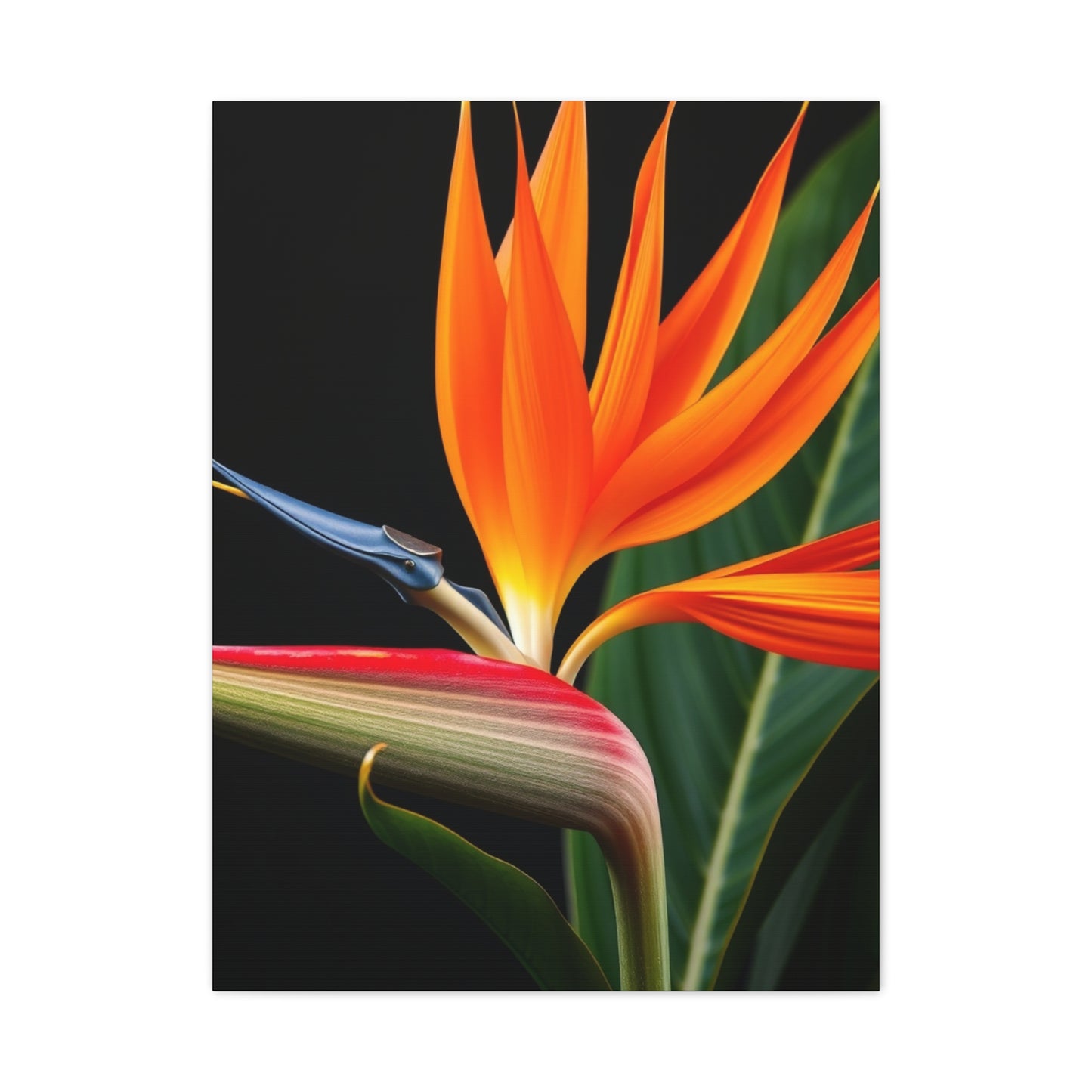 Bird of Paradise Plant Art Supreme Gallery Wall Art & Canvas Print