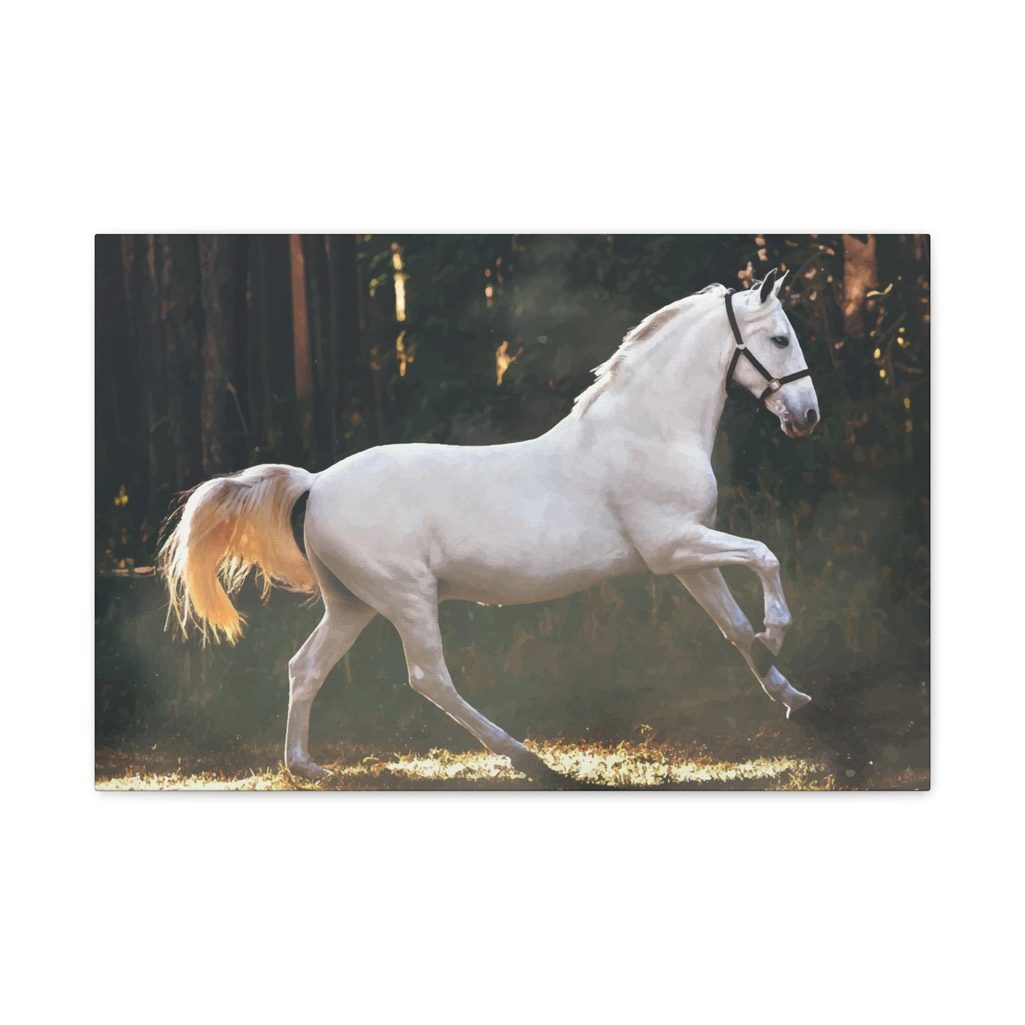 White Horse Wall Art & Canvas Prints