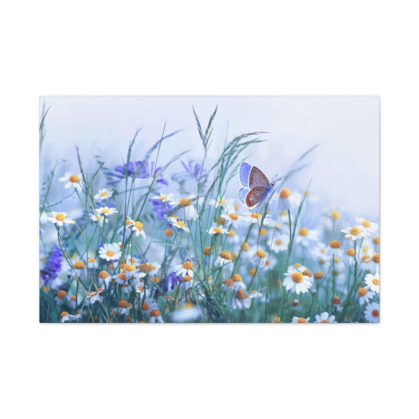 Butterfly Wall Art & Canvas Prints