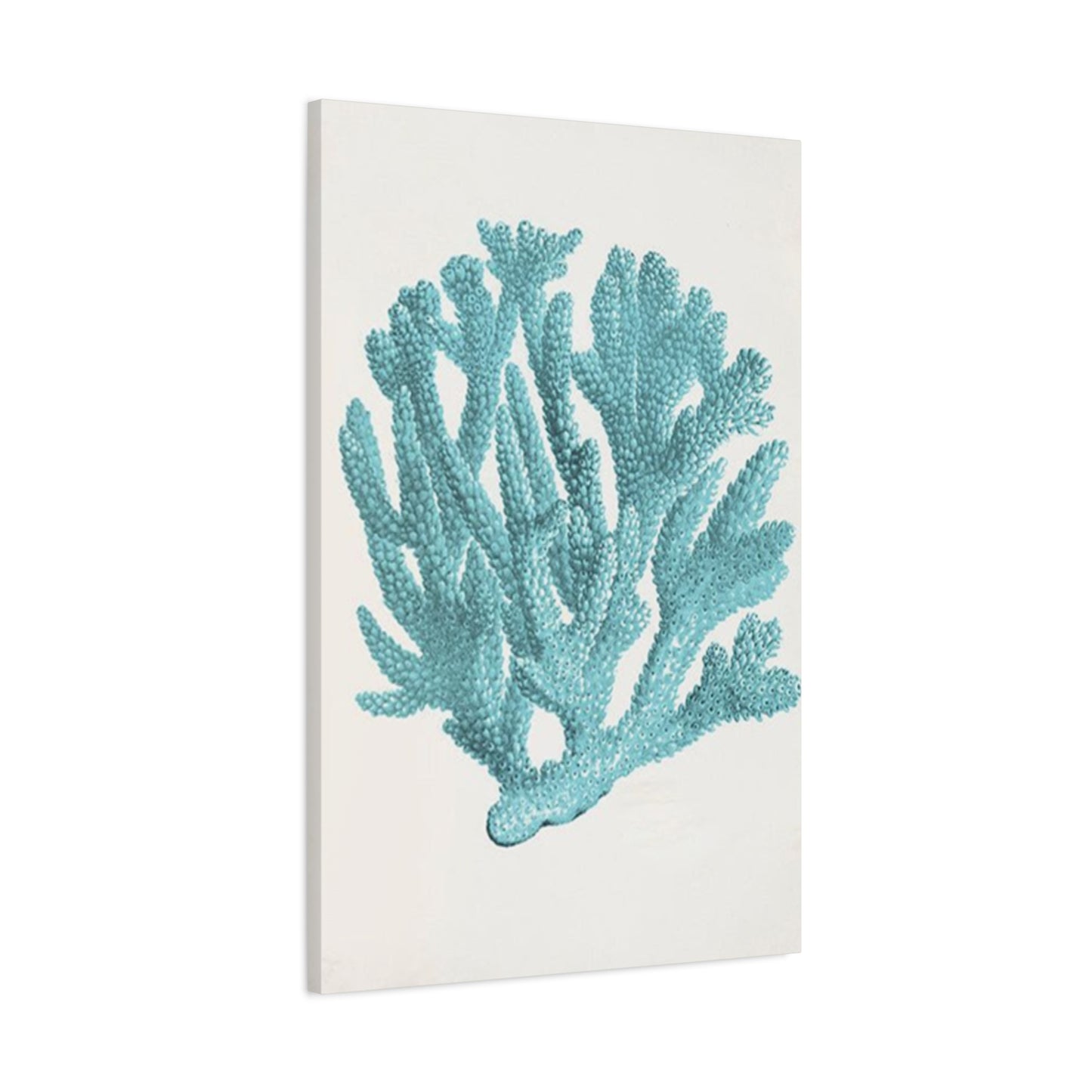 Blue Sea Herb Drawing Wall Art & Canvas Prints
