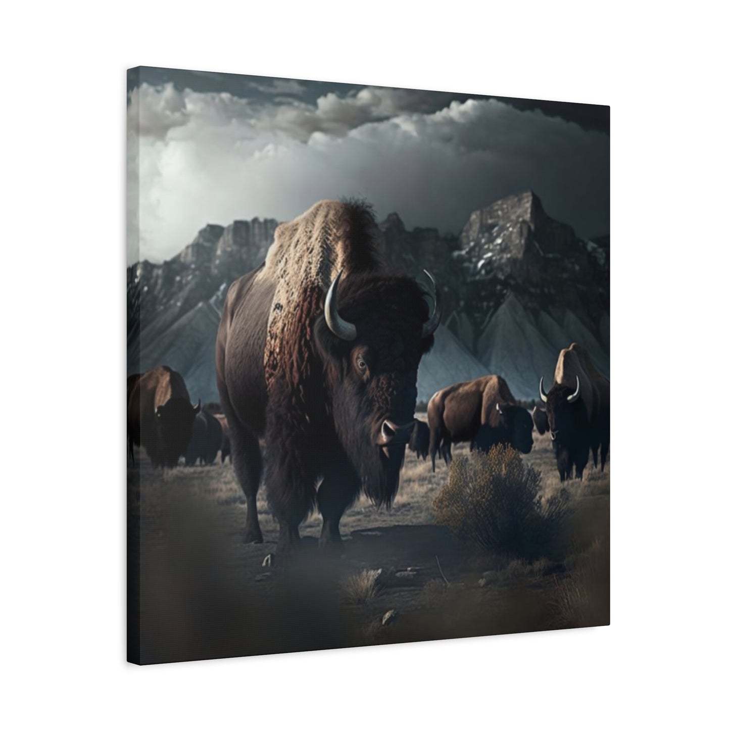 Mountain Bisons Wall Art & Canvas Prints