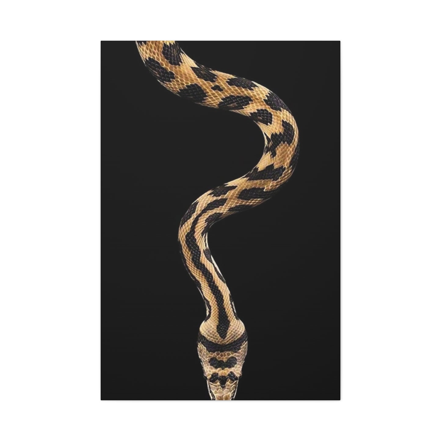 Snake On Black Poster Wall Art & Canvas Prints