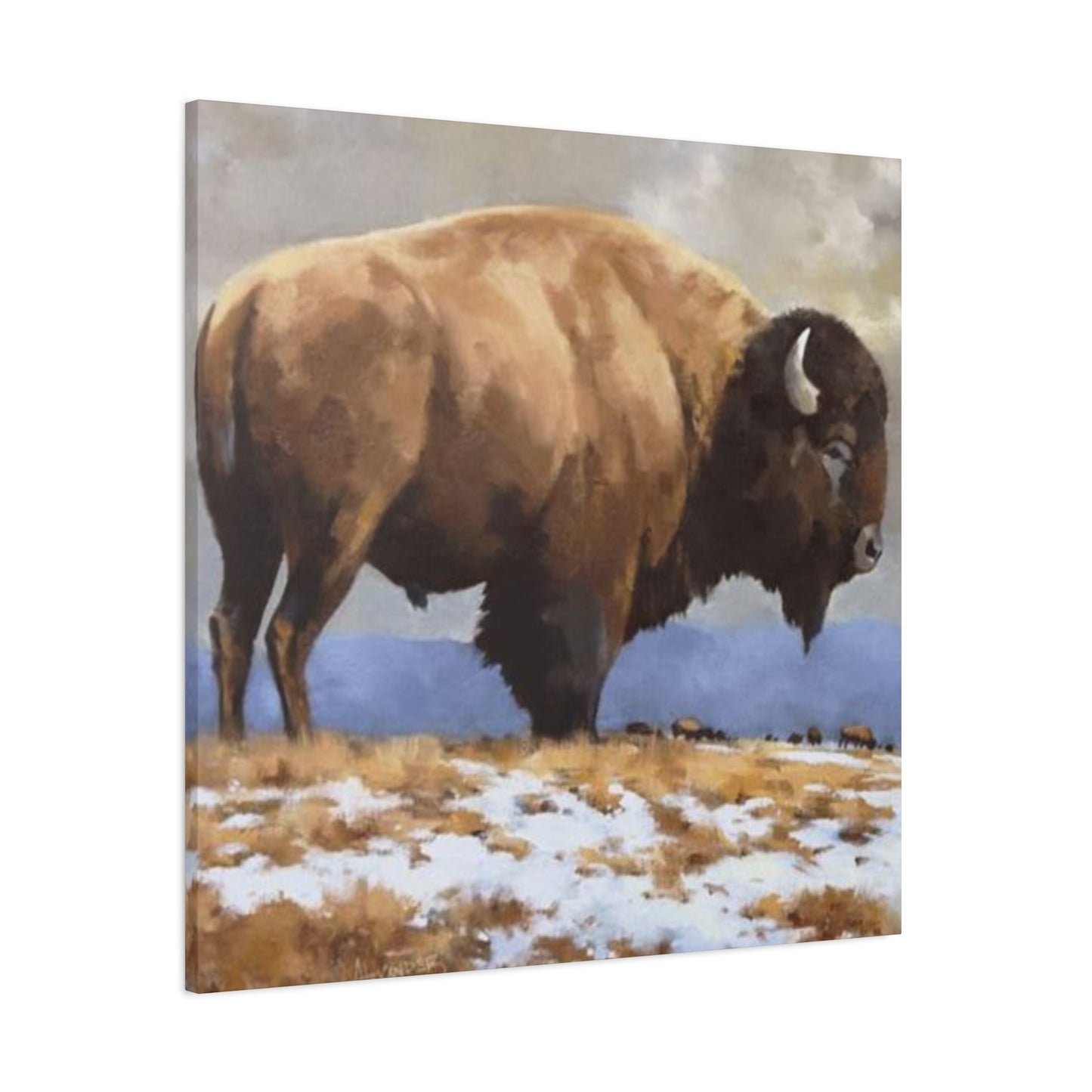 Old Bison Wall Art & Canvas Prints