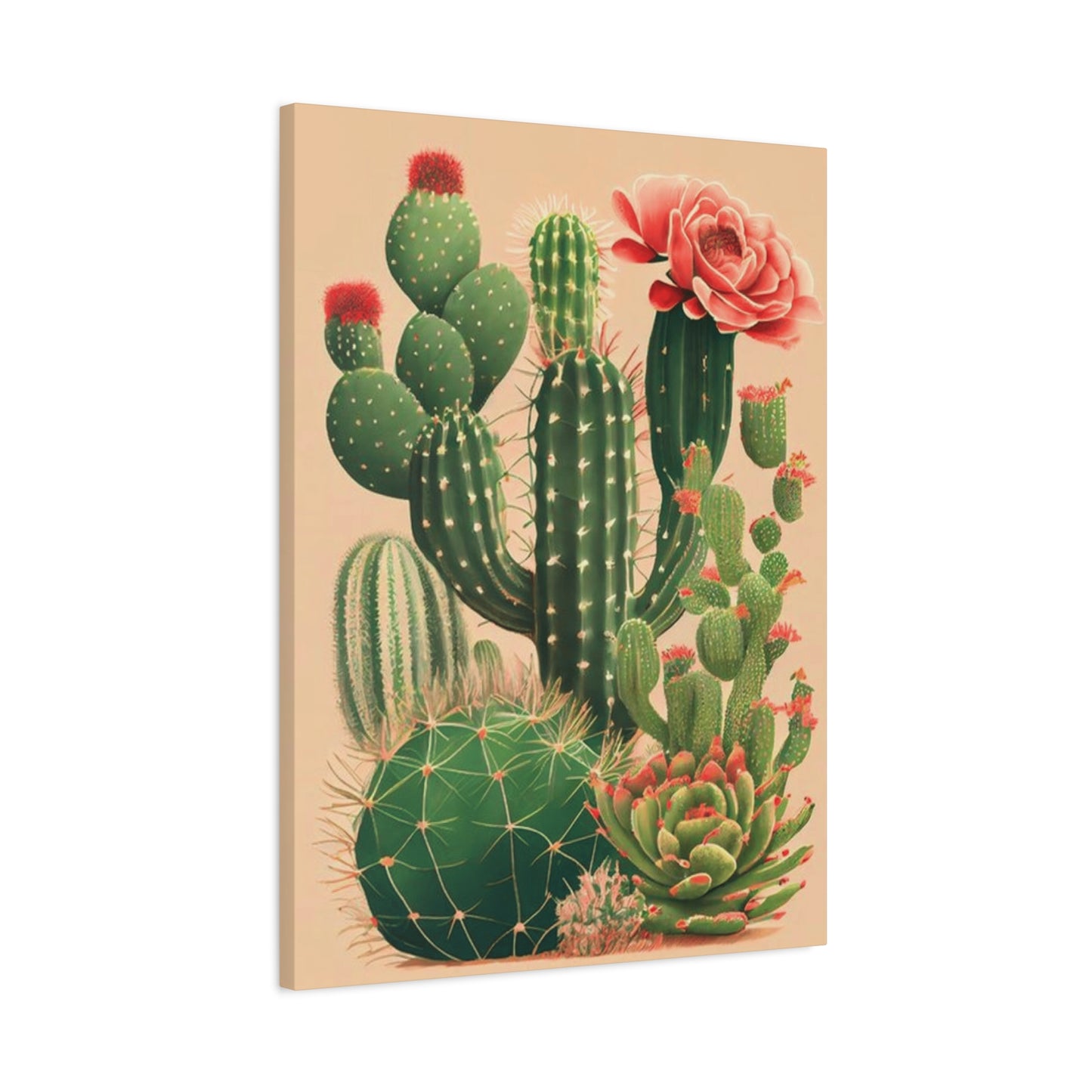 Cacti and Cacti Flowers Wall Art & Canvas Prints