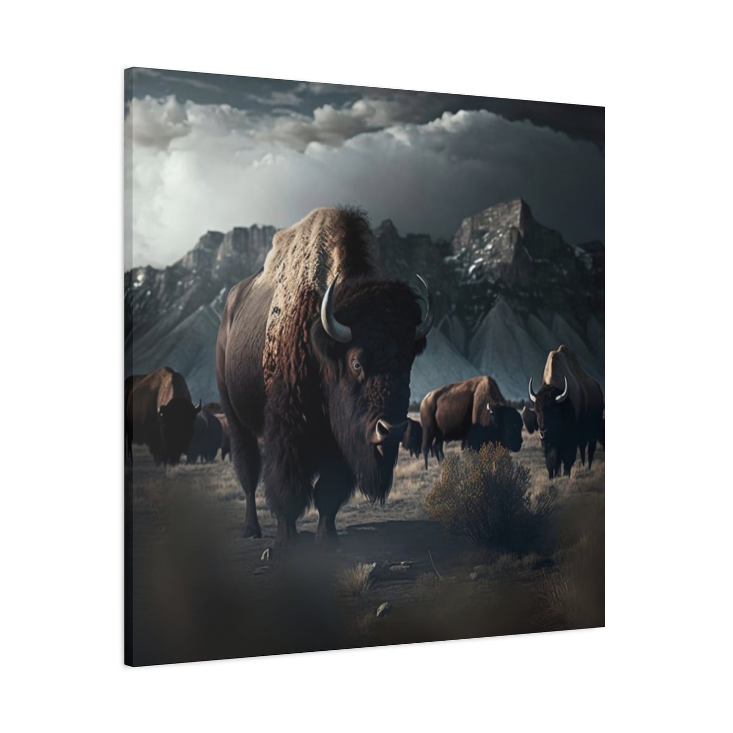 Mountain Bisons Wall Art & Canvas Prints