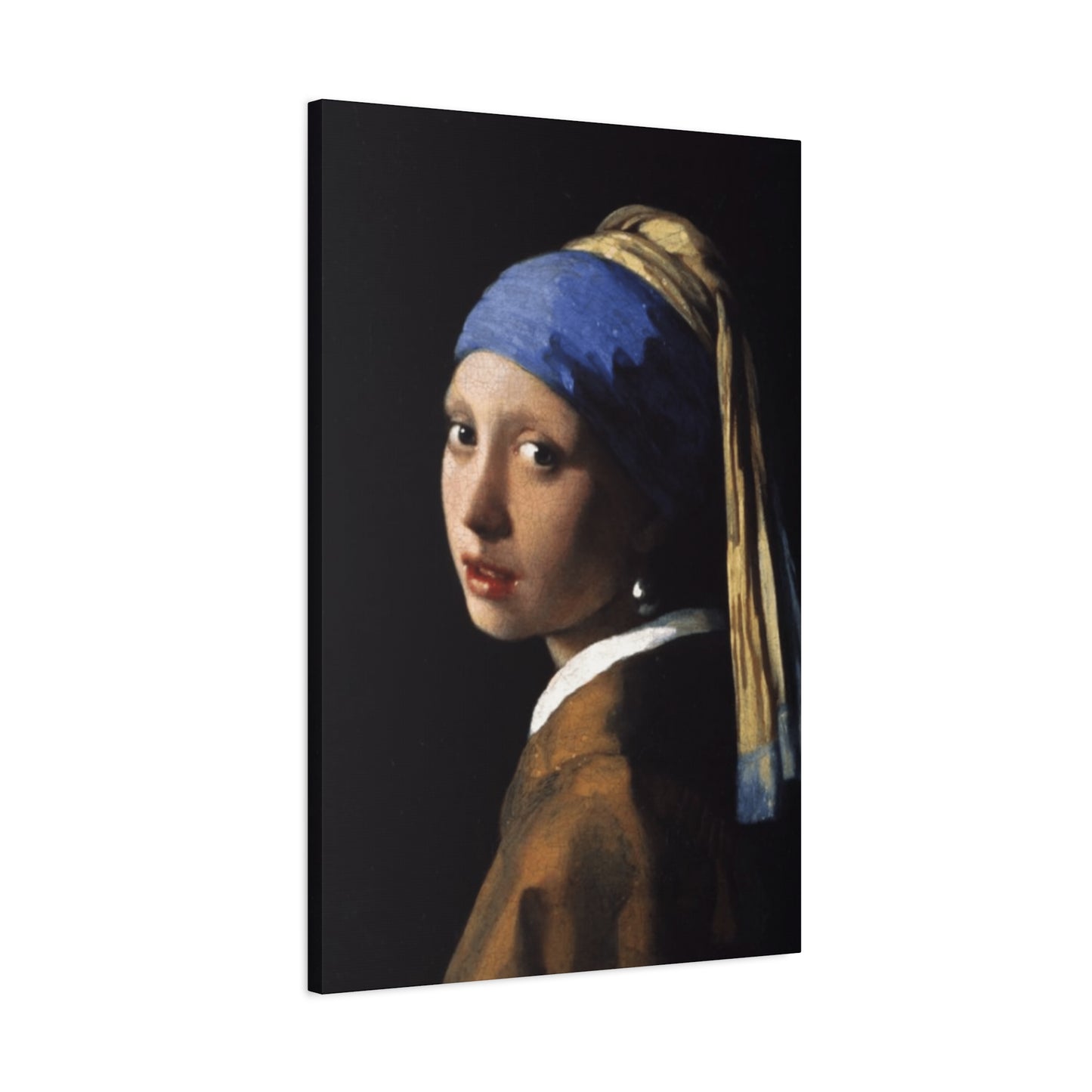 Girl With A Pearl Earring Portrait Wall Art & Canvas Prints