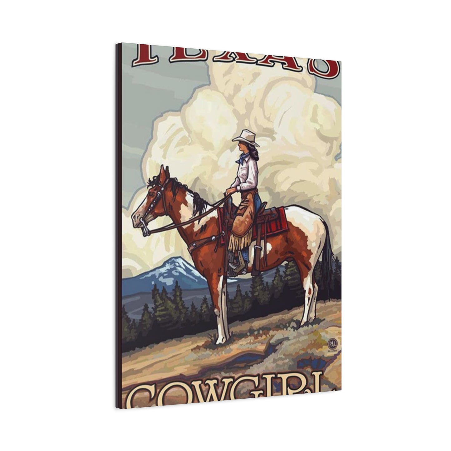 Texas Cowgirl Wall Art & Canvas Prints