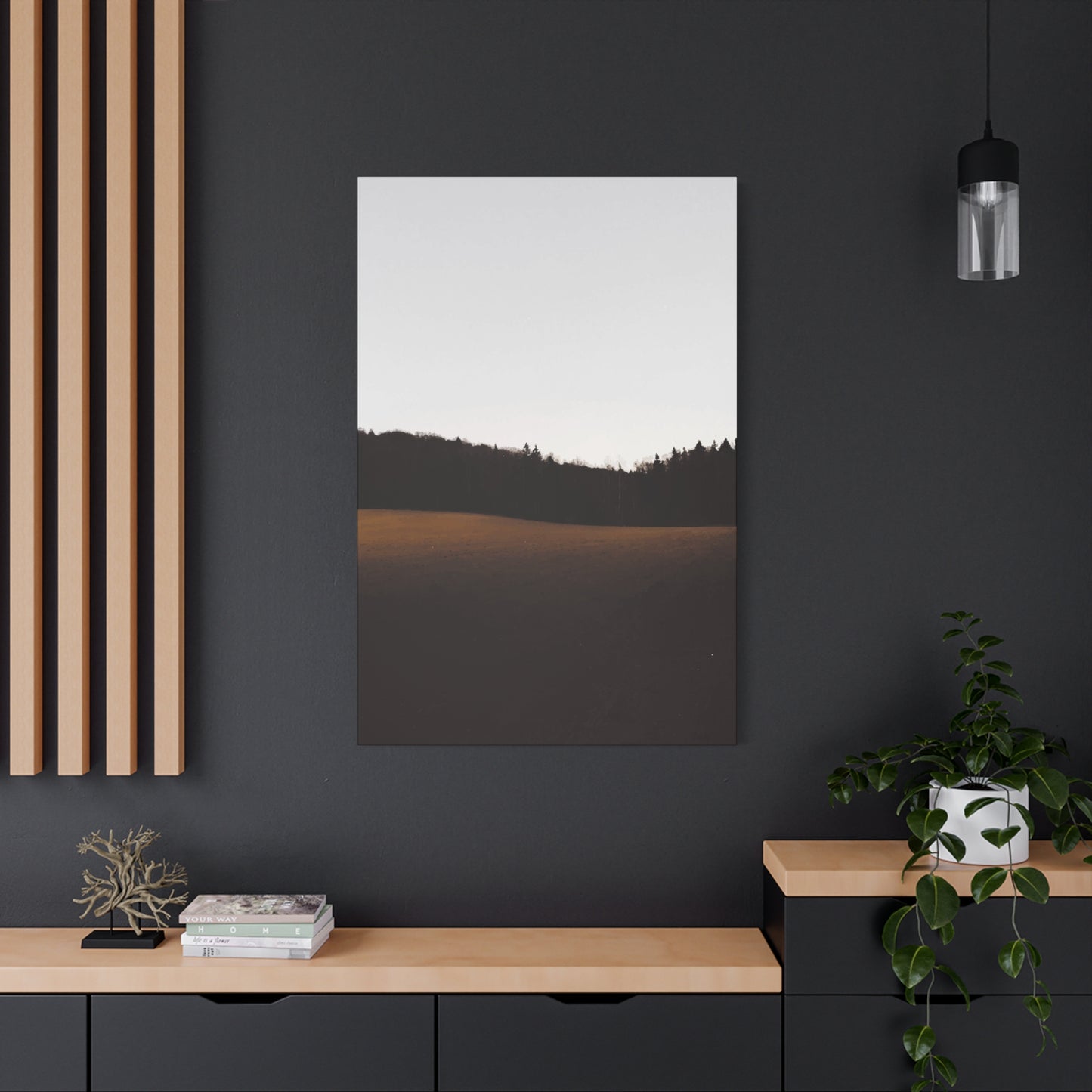 Plateau Wall Art & Canvas Prints