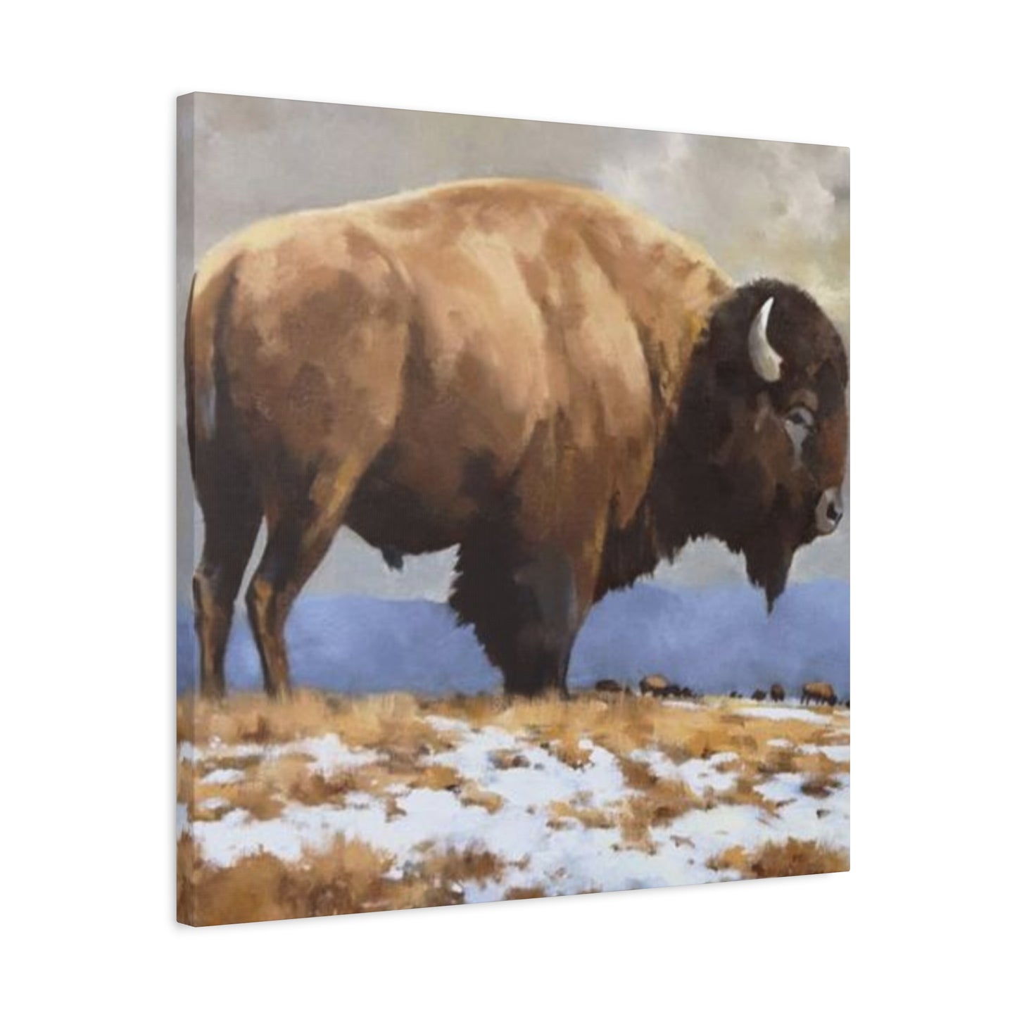 Old Bison Wall Art & Canvas Prints