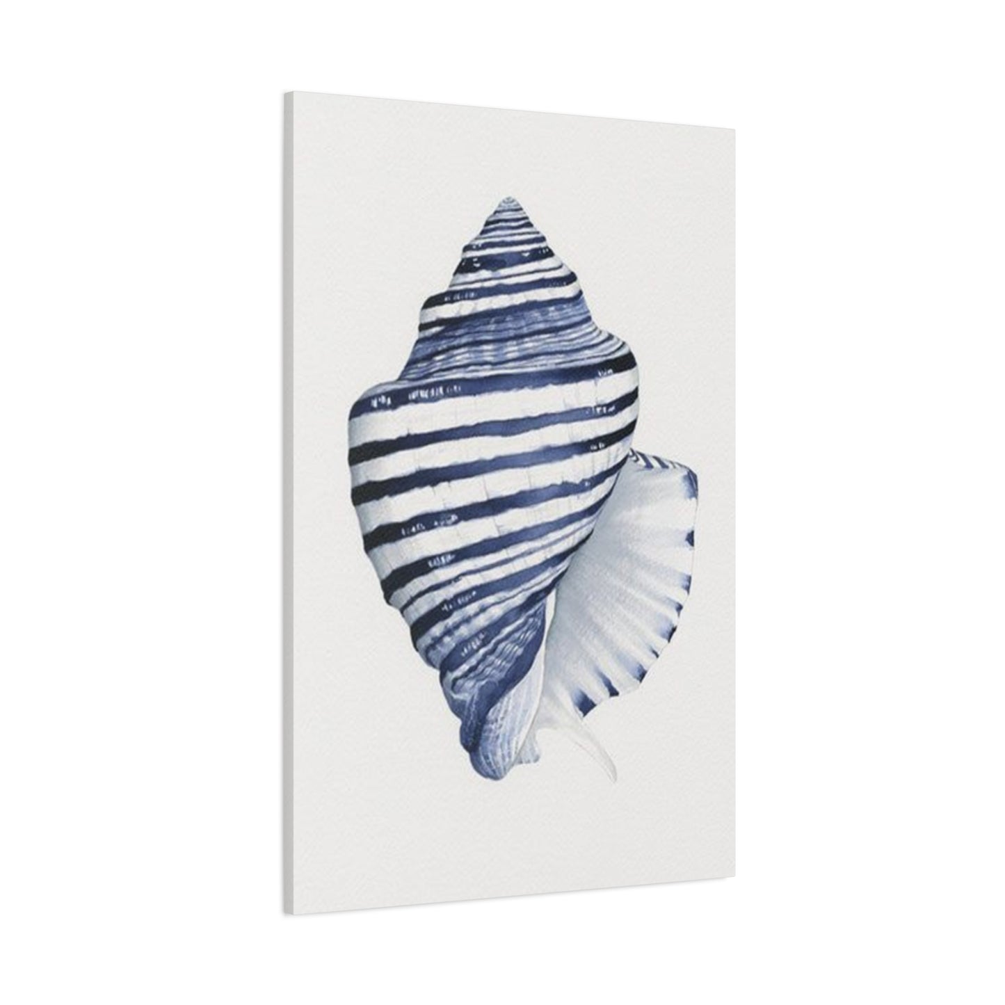 Blue & White Shell Drawing Wall Art & Canvas Prints