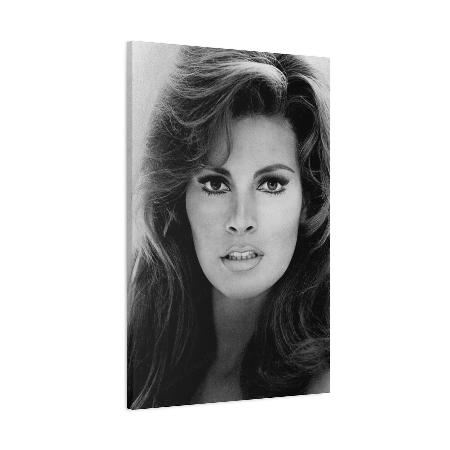 Raquel Welch Wall Art & Canvas Prints