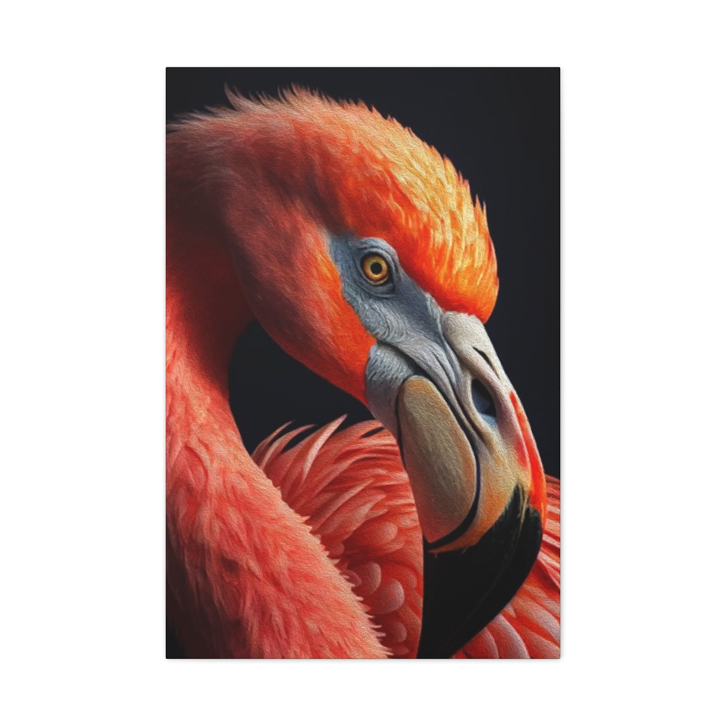 Vulture Bird Wall Art & Canvas Prints