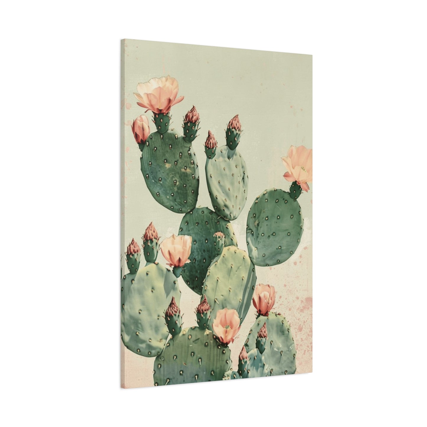 Cactus Flower Wall Art & Canvas Prints