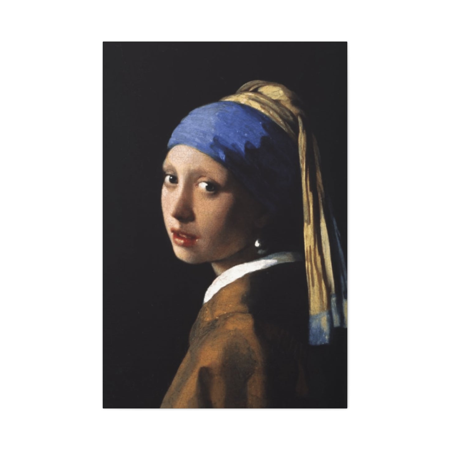 Girl With A Pearl Earring Portrait Wall Art & Canvas Prints