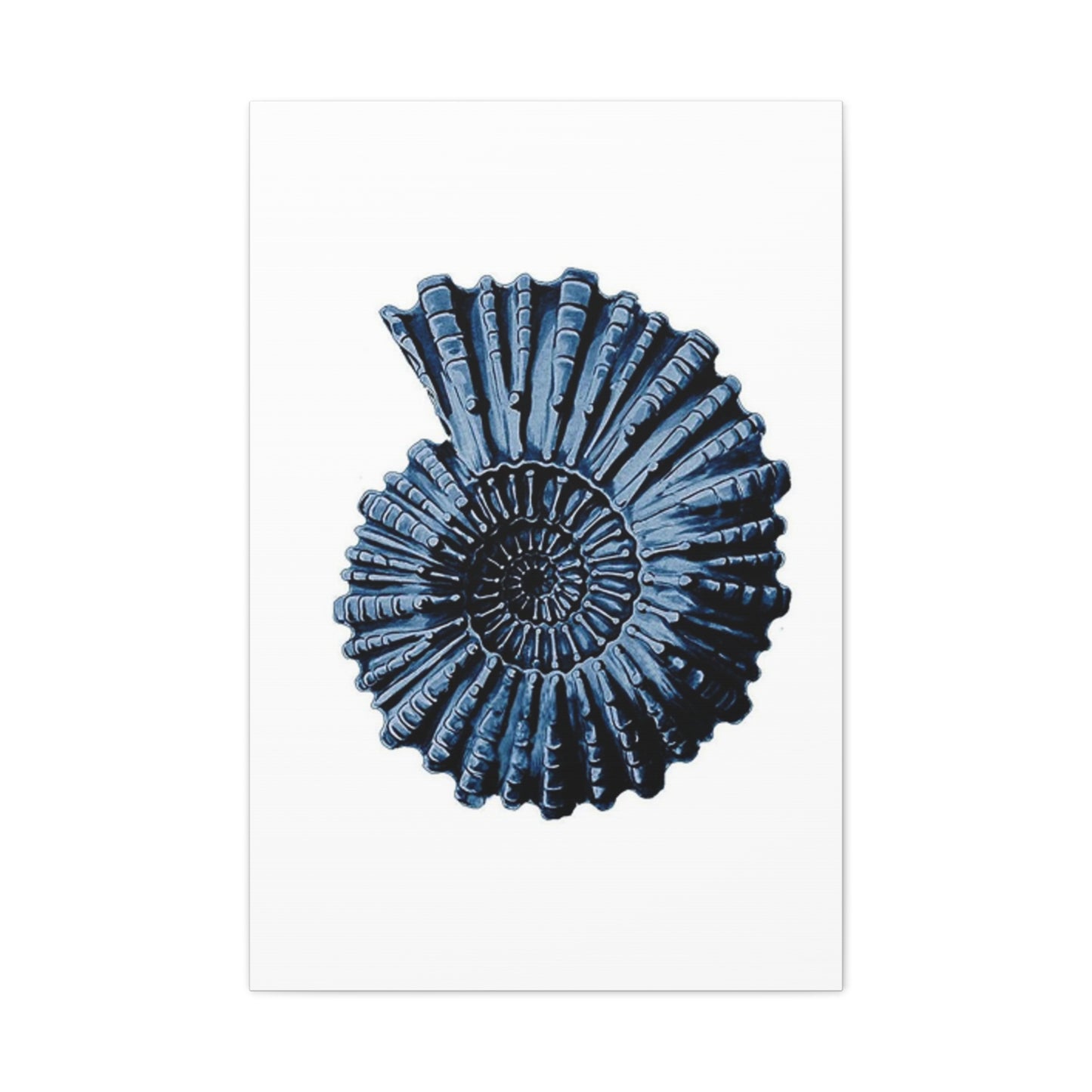 Beautiful Blue Shell Shape Poster Wall Art & Canvas Prints