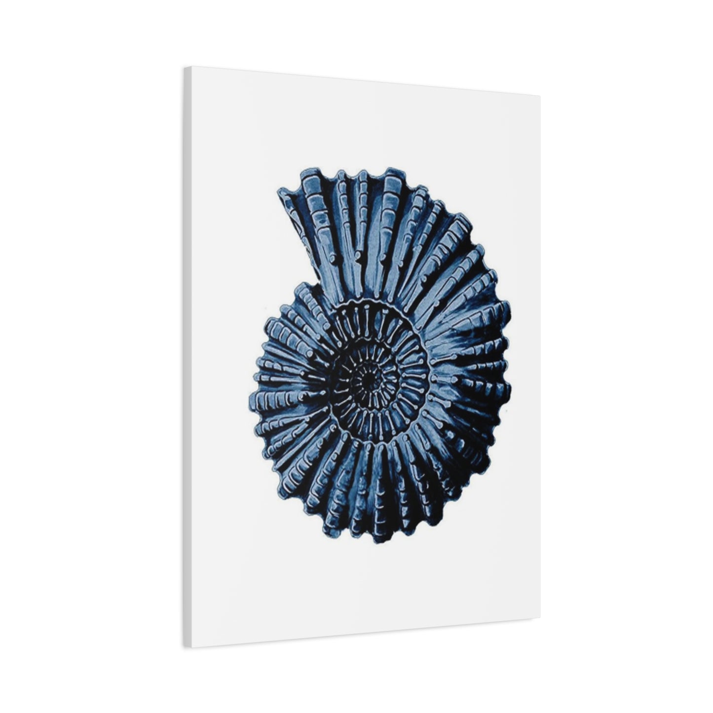 Beautiful Blue Shell Shape Poster Wall Art & Canvas Prints